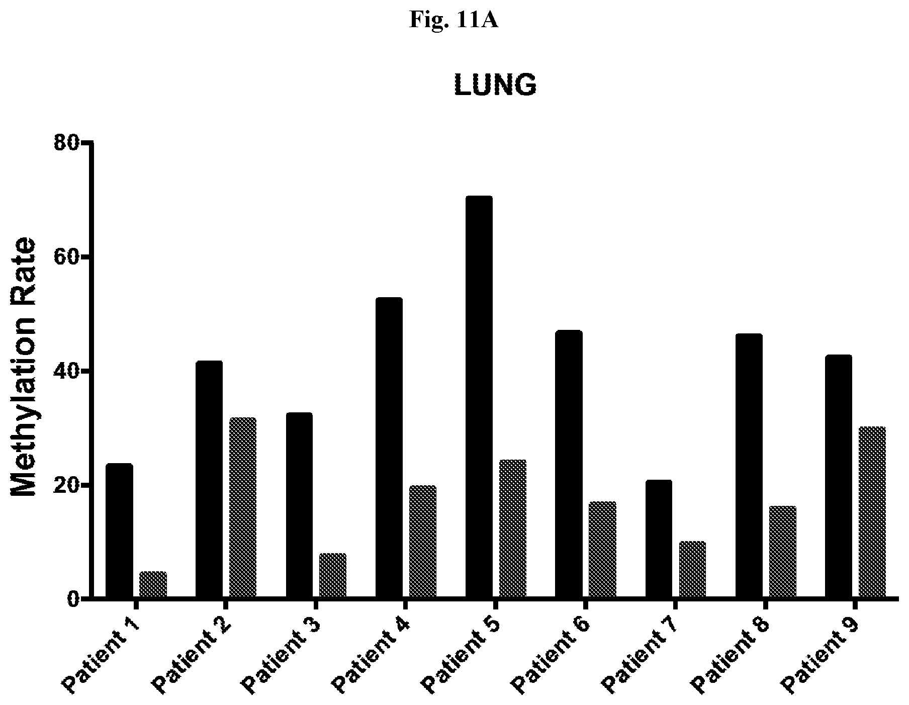 Patent US12359258 Figure 16 – Lung cancer methylation markers and uses thereof