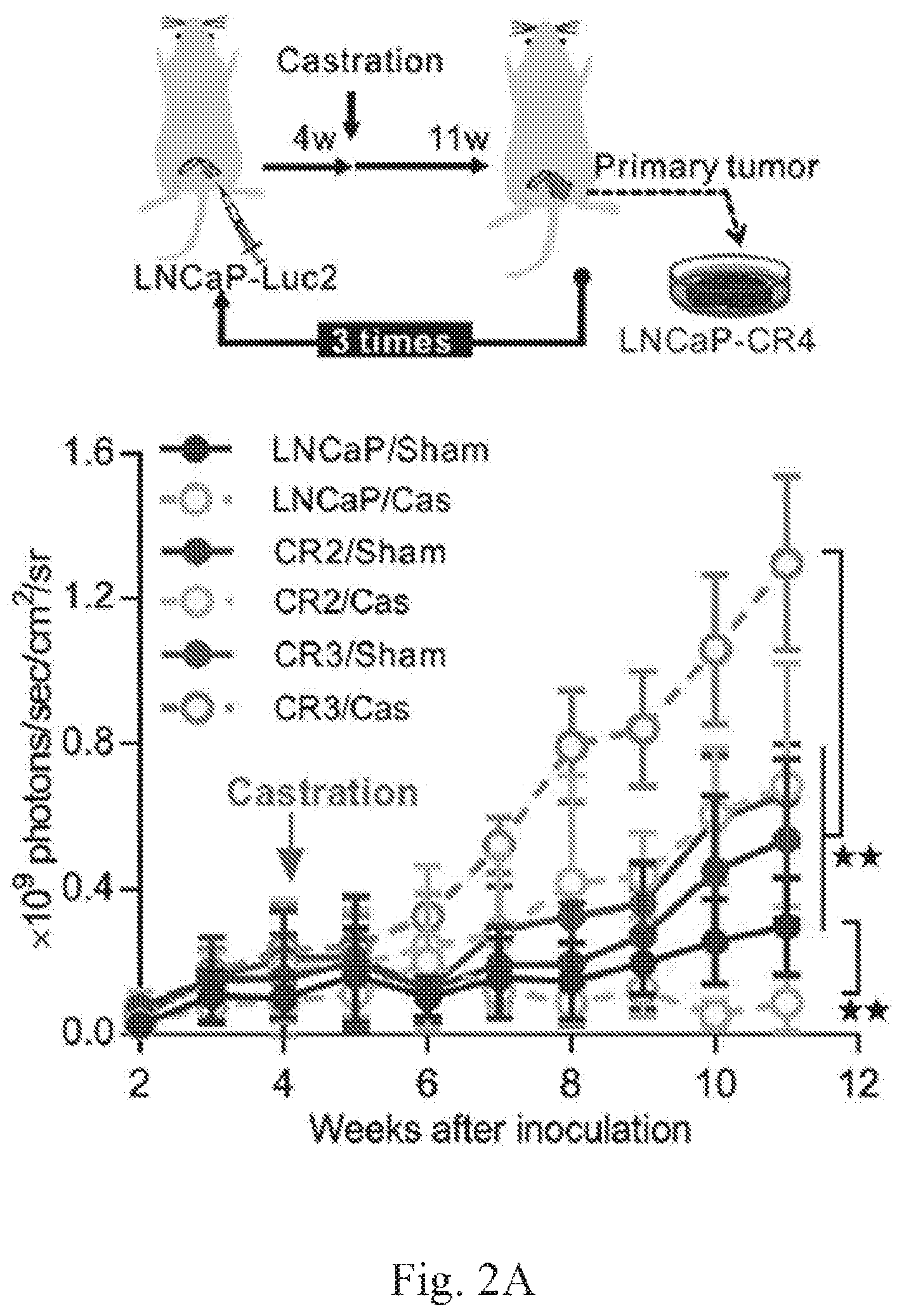 Patent US12359259 Figure 2 – Biomarkers for predicting prostate cancer progression