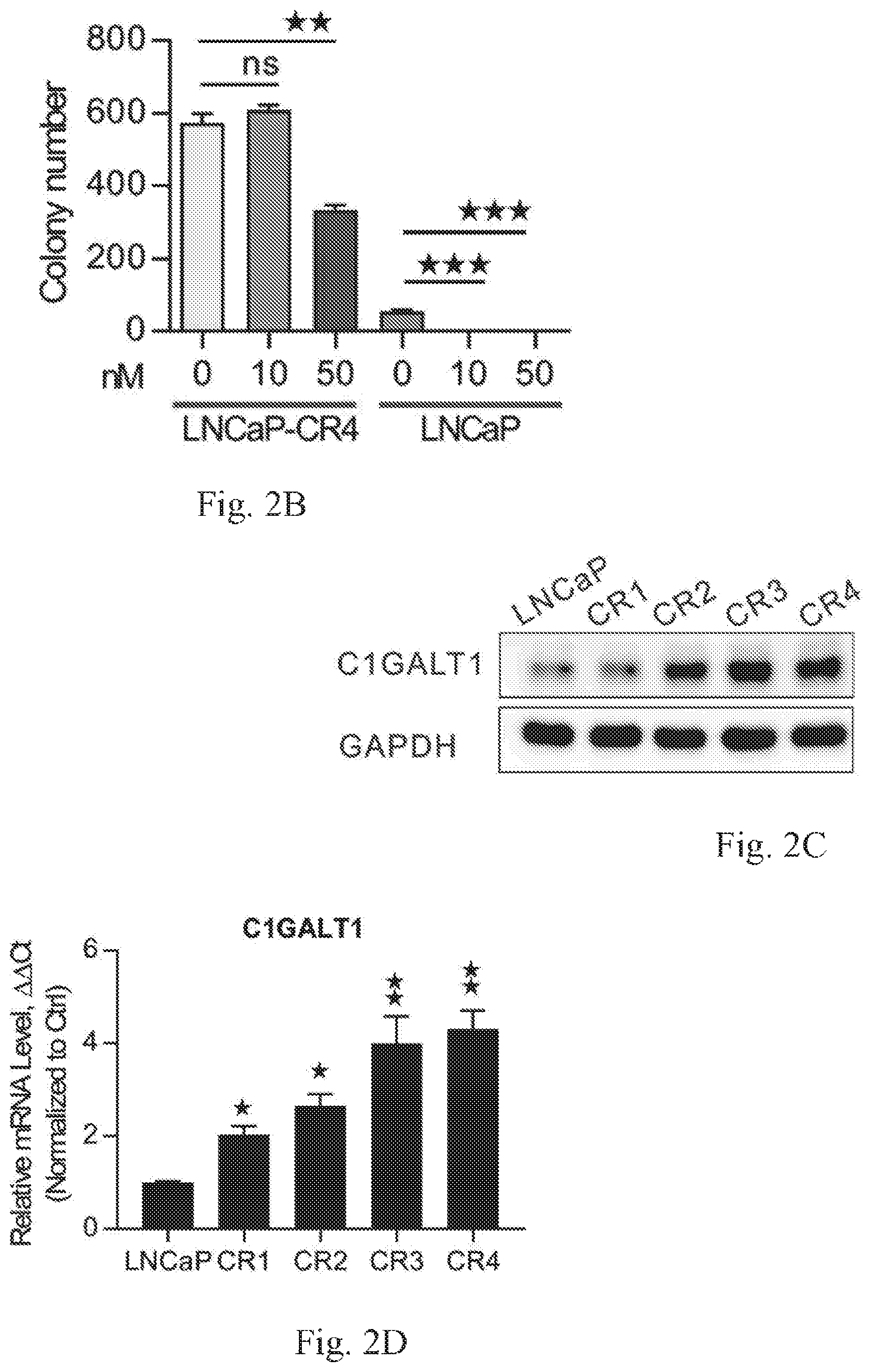 Patent US12359259 Figure 3 – Biomarkers for predicting prostate cancer progression