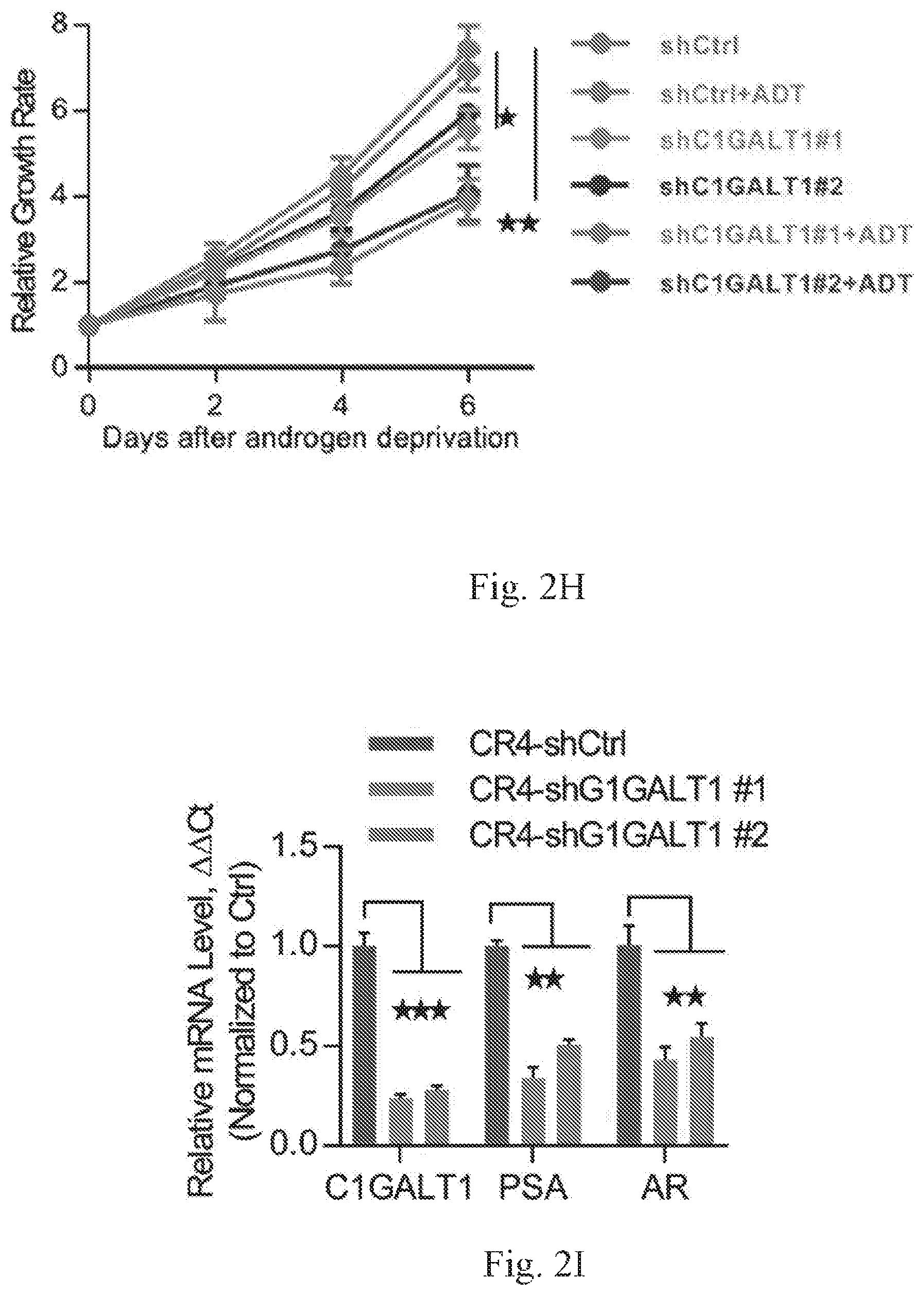 Patent US12359259 Figure 6 – Biomarkers for predicting prostate cancer progression