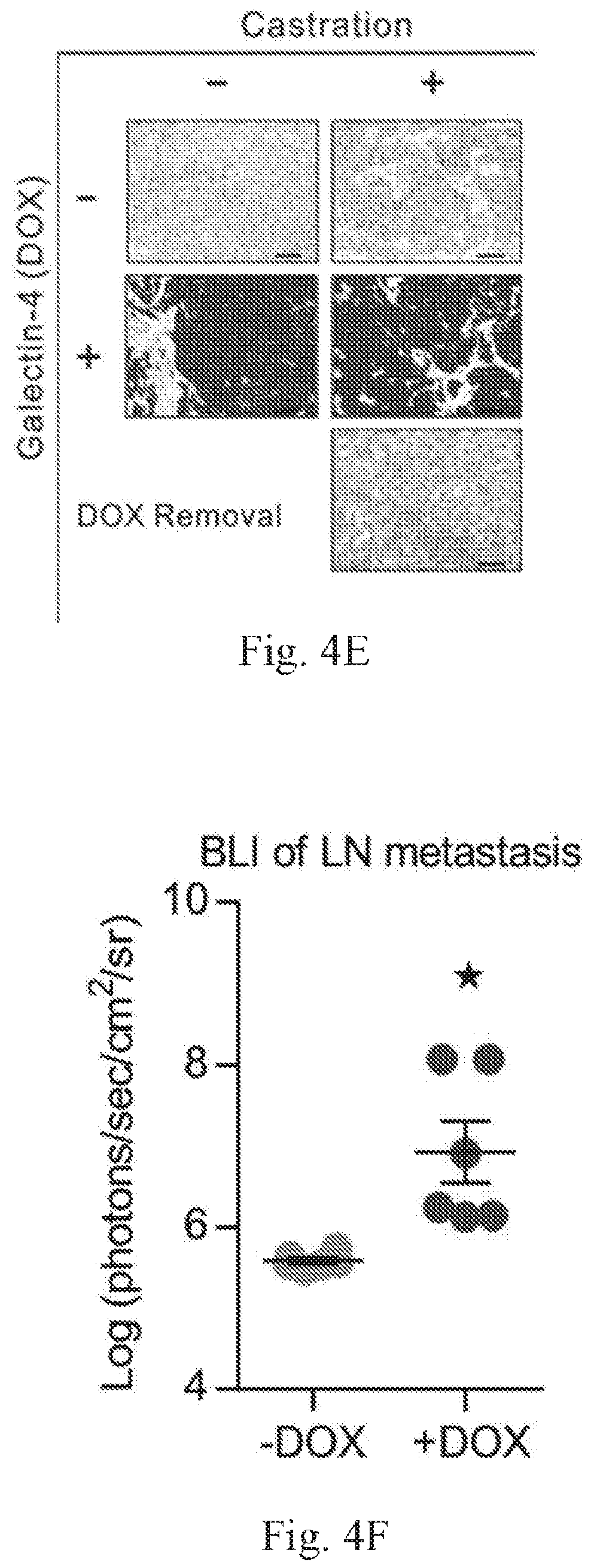 Patent US12359259 Figure 11 – Biomarkers for predicting prostate cancer progression