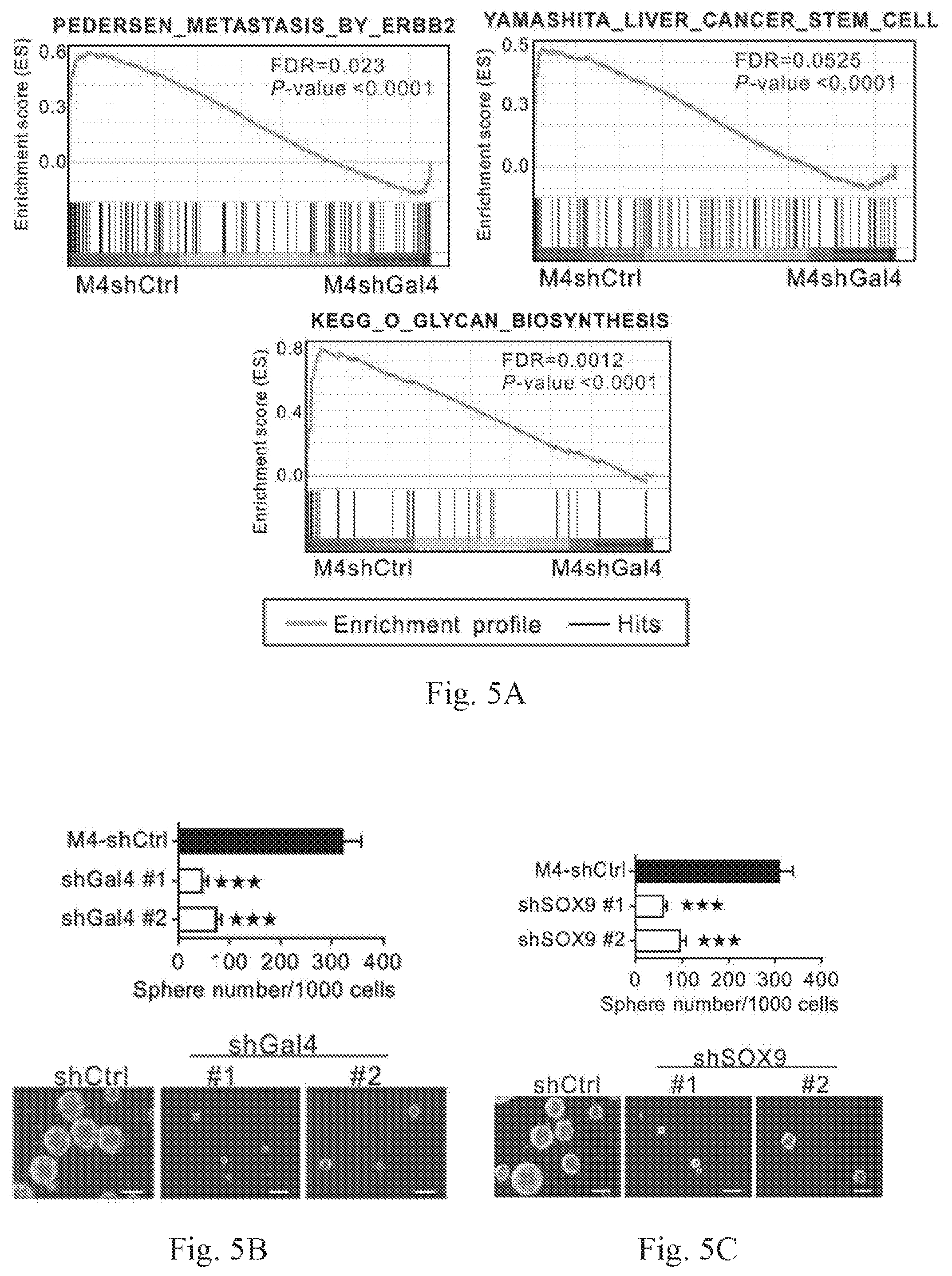 Patent US12359259 Figure 12 – Biomarkers for predicting prostate cancer progression