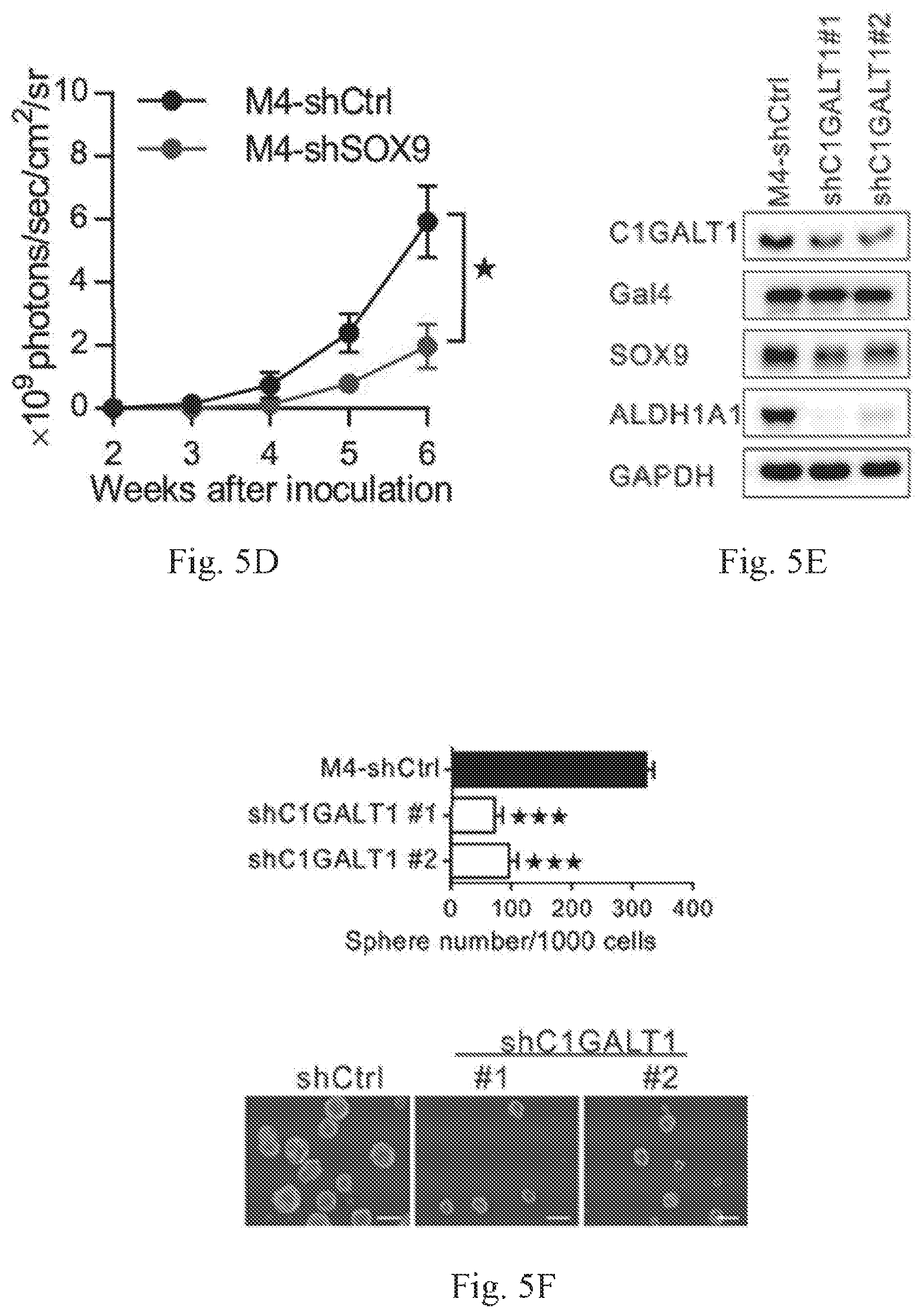 Patent US12359259 Figure 13 – Biomarkers for predicting prostate cancer progression