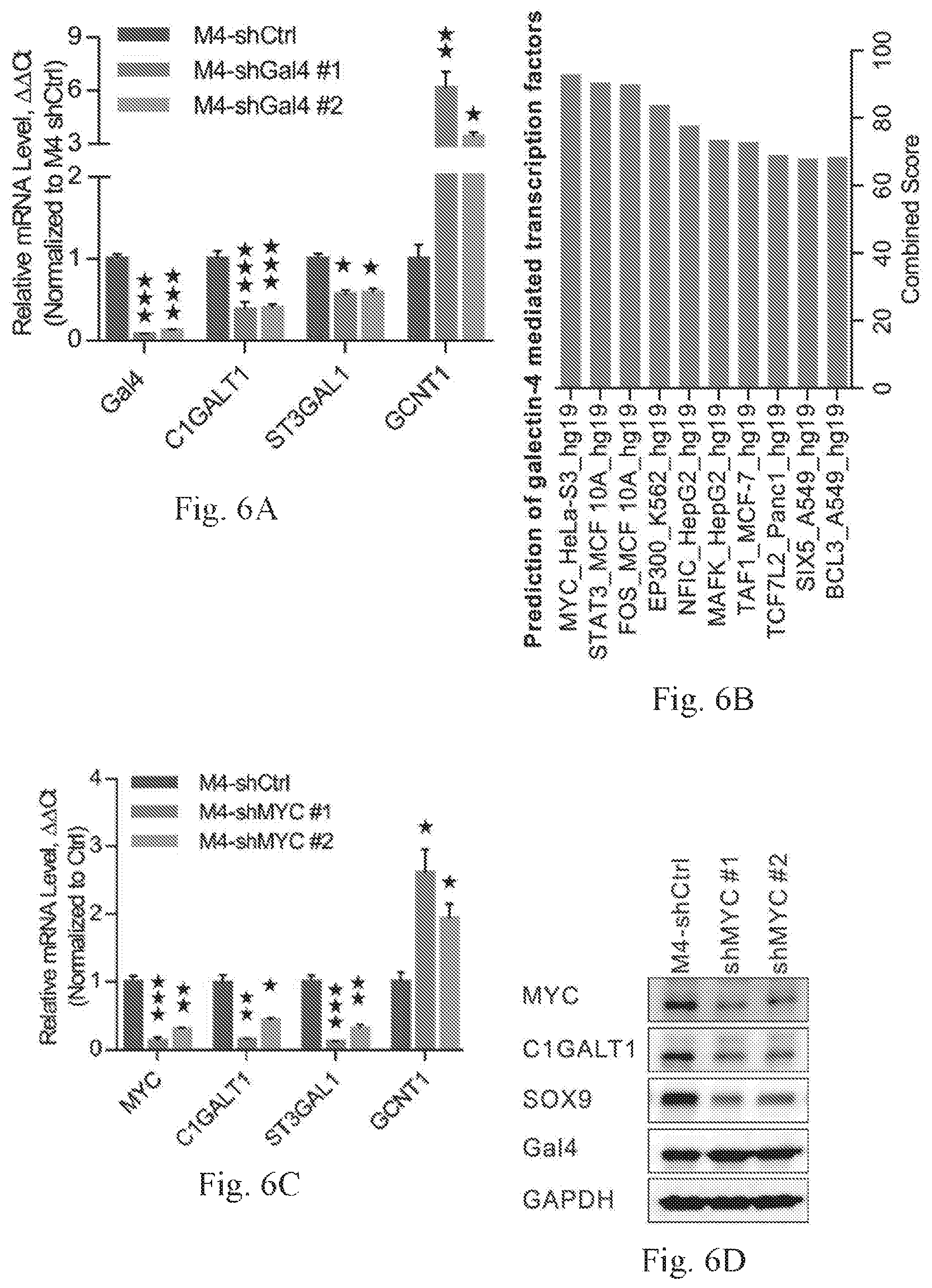 Patent US12359259 Figure 14 – Biomarkers for predicting prostate cancer progression