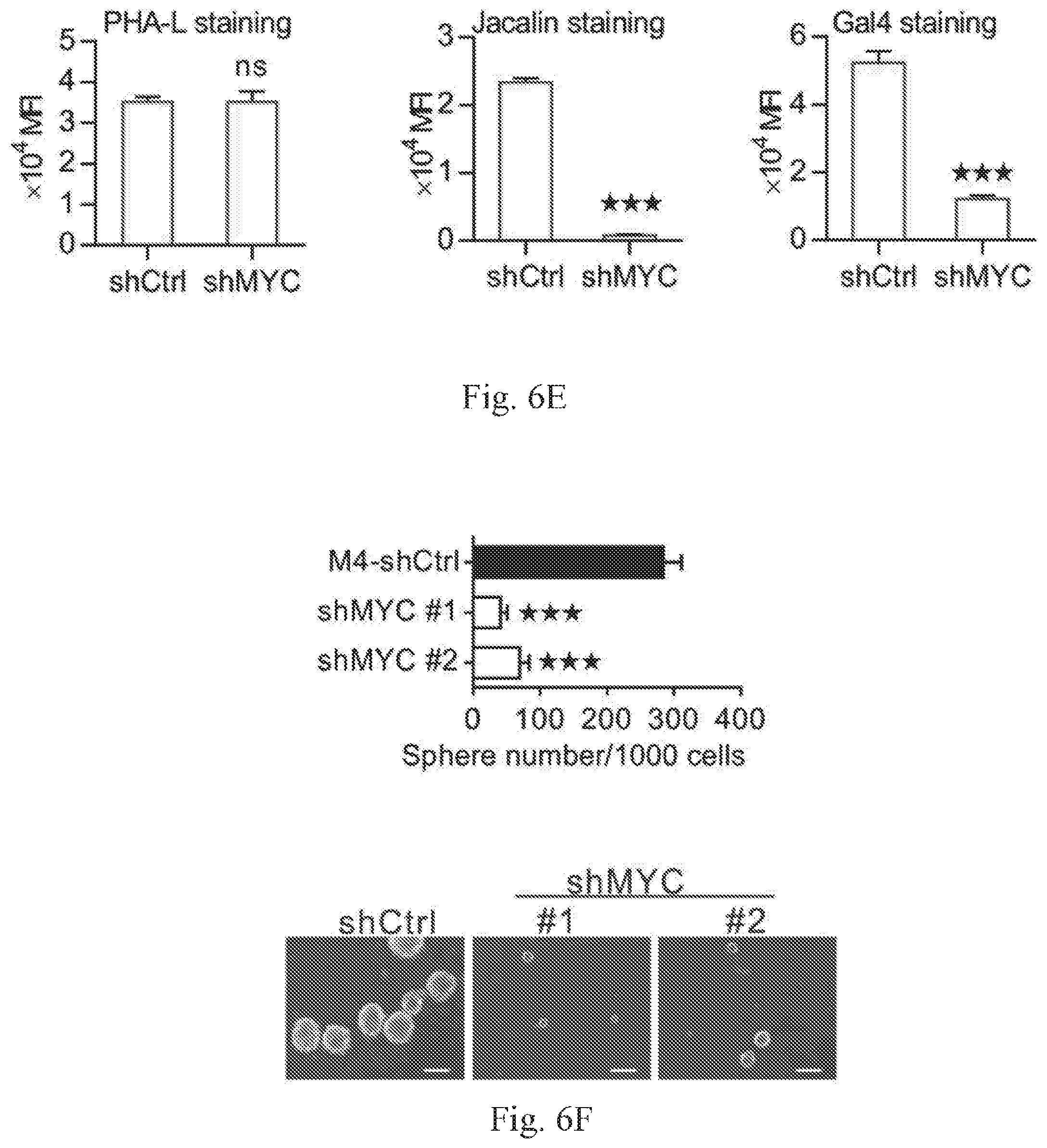 Patent US12359259 Figure 15 – Biomarkers for predicting prostate cancer progression