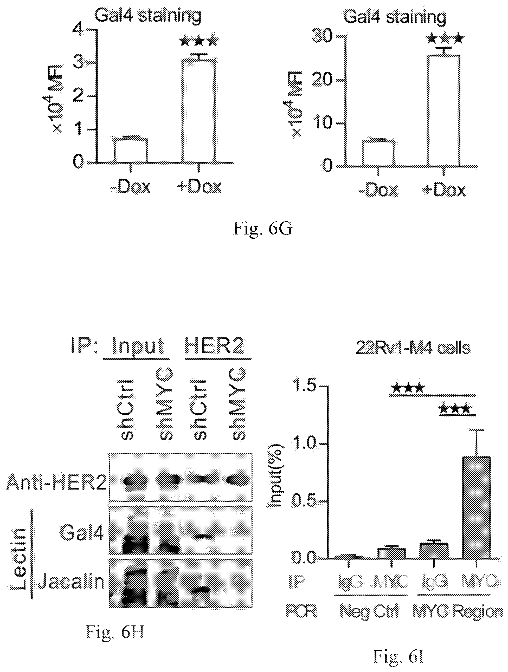 Patent US12359259 Figure 16 – Biomarkers for predicting prostate cancer progression