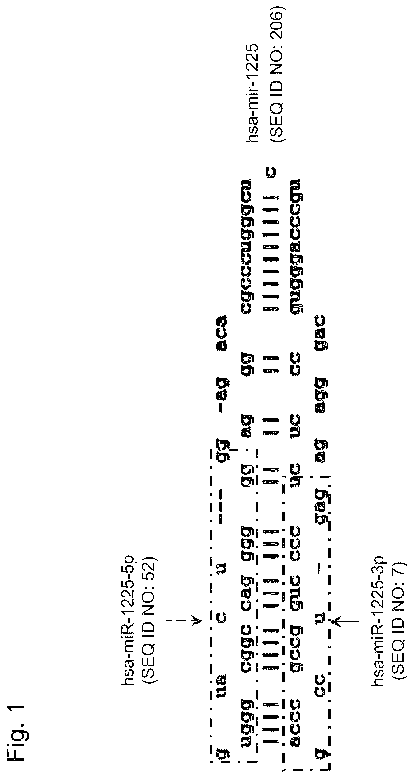 Patent US12359260 Figure 1 – Stomach cancer detection kit or device, and detection method