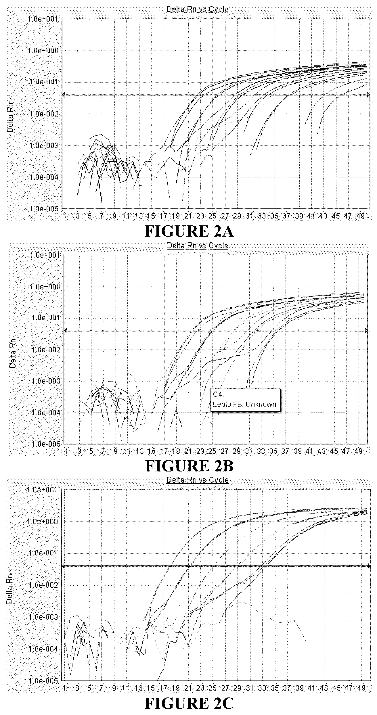 Patent US12359261 Figure 2 – Assay for detection of pathogenic Leptospira strains