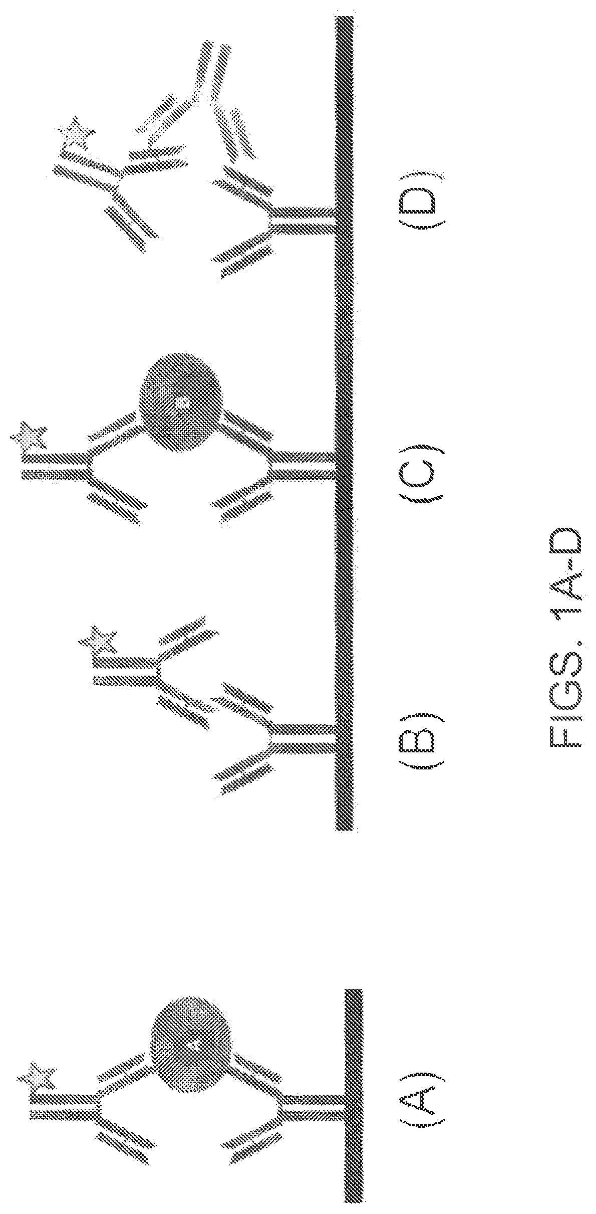 Patent US12359264 Figure 1 – Co-binder assisted assay methods
