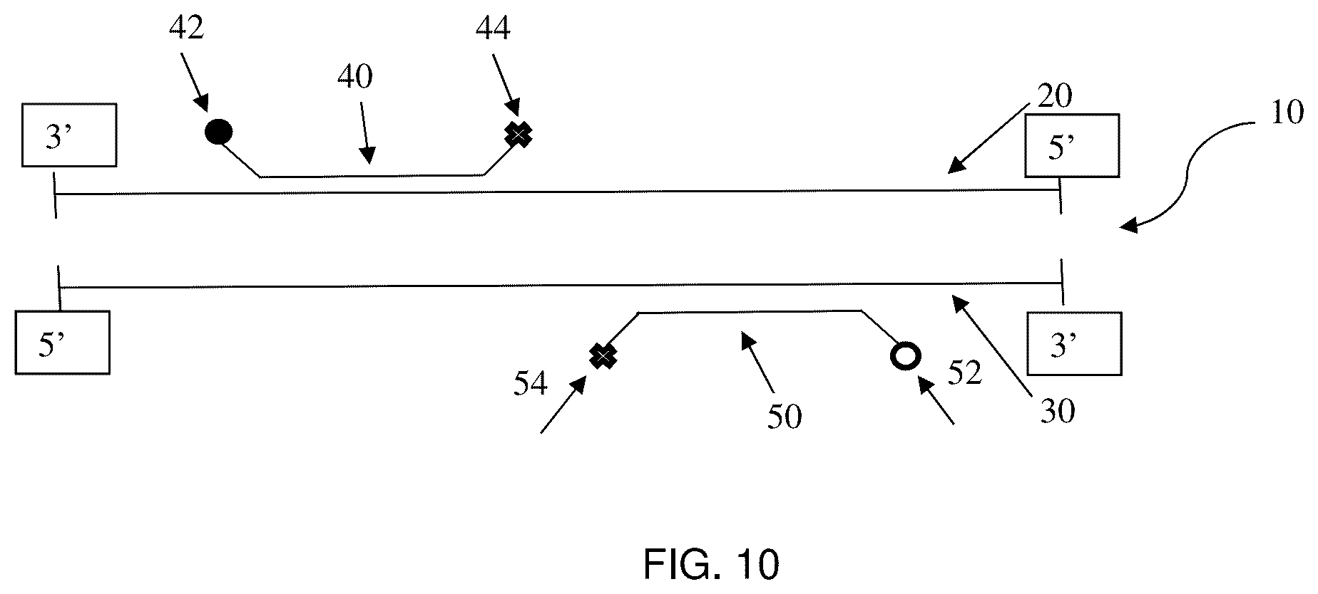 Patent US12359265 Figure 10 – Systems and methods for ultra-specific and ultra-sensitive nucleic acid detection