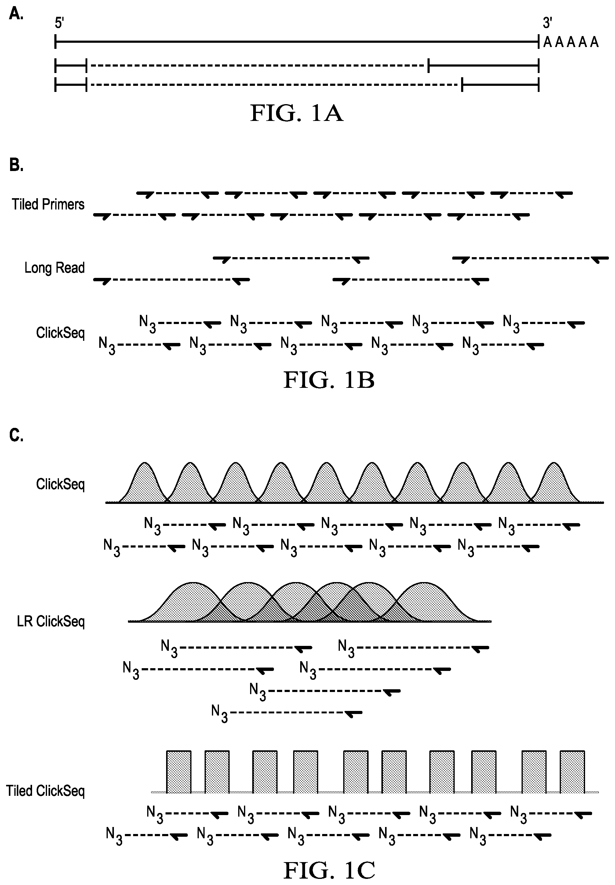 Patent US12359266 Figure 1 – Tiled ClickSeq for targeted virus whole genome sequencing