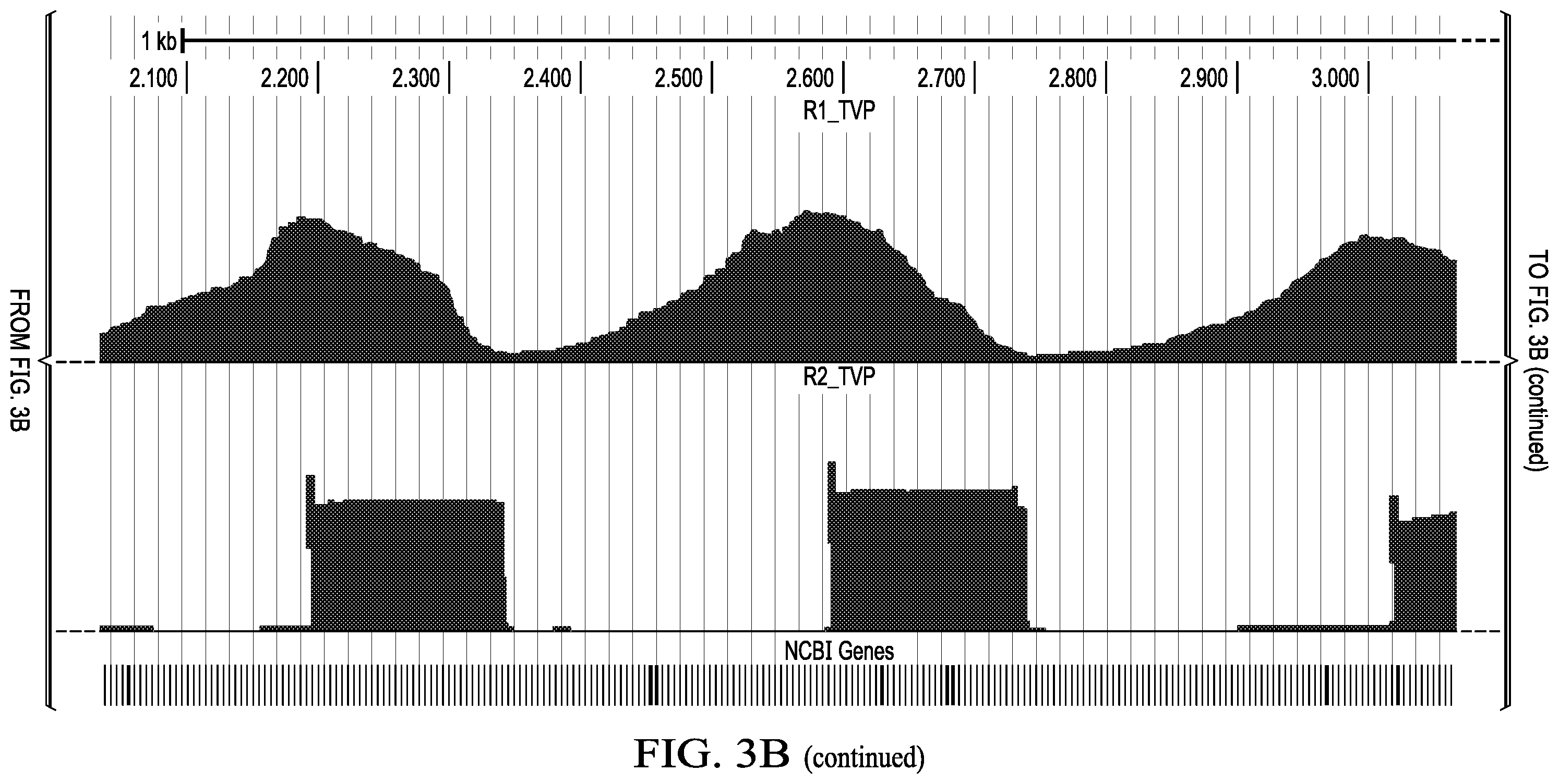 Patent US12359266 Figure 7 – Tiled ClickSeq for targeted virus whole genome sequencing