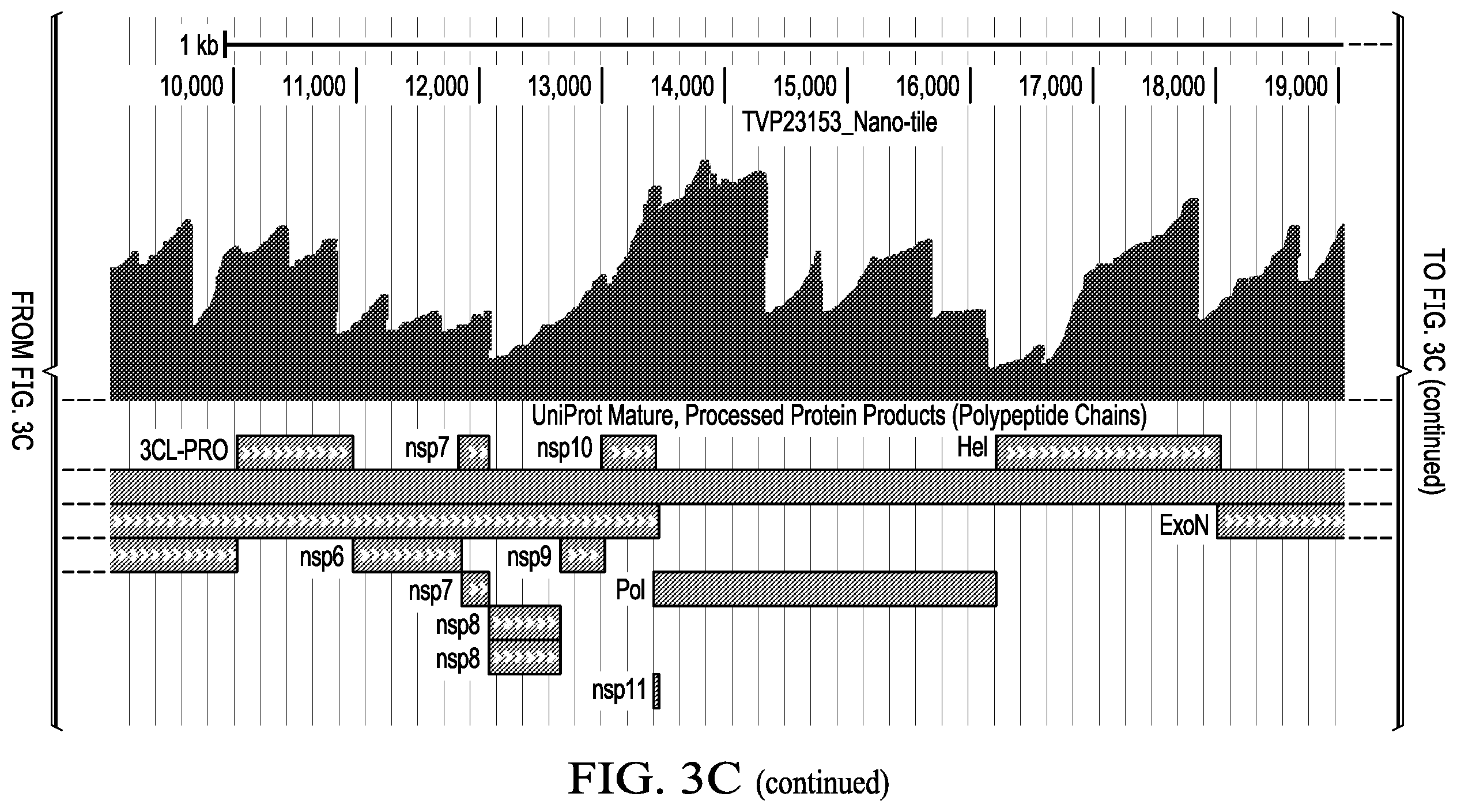 Patent US12359266 Figure 10 – Tiled ClickSeq for targeted virus whole genome sequencing