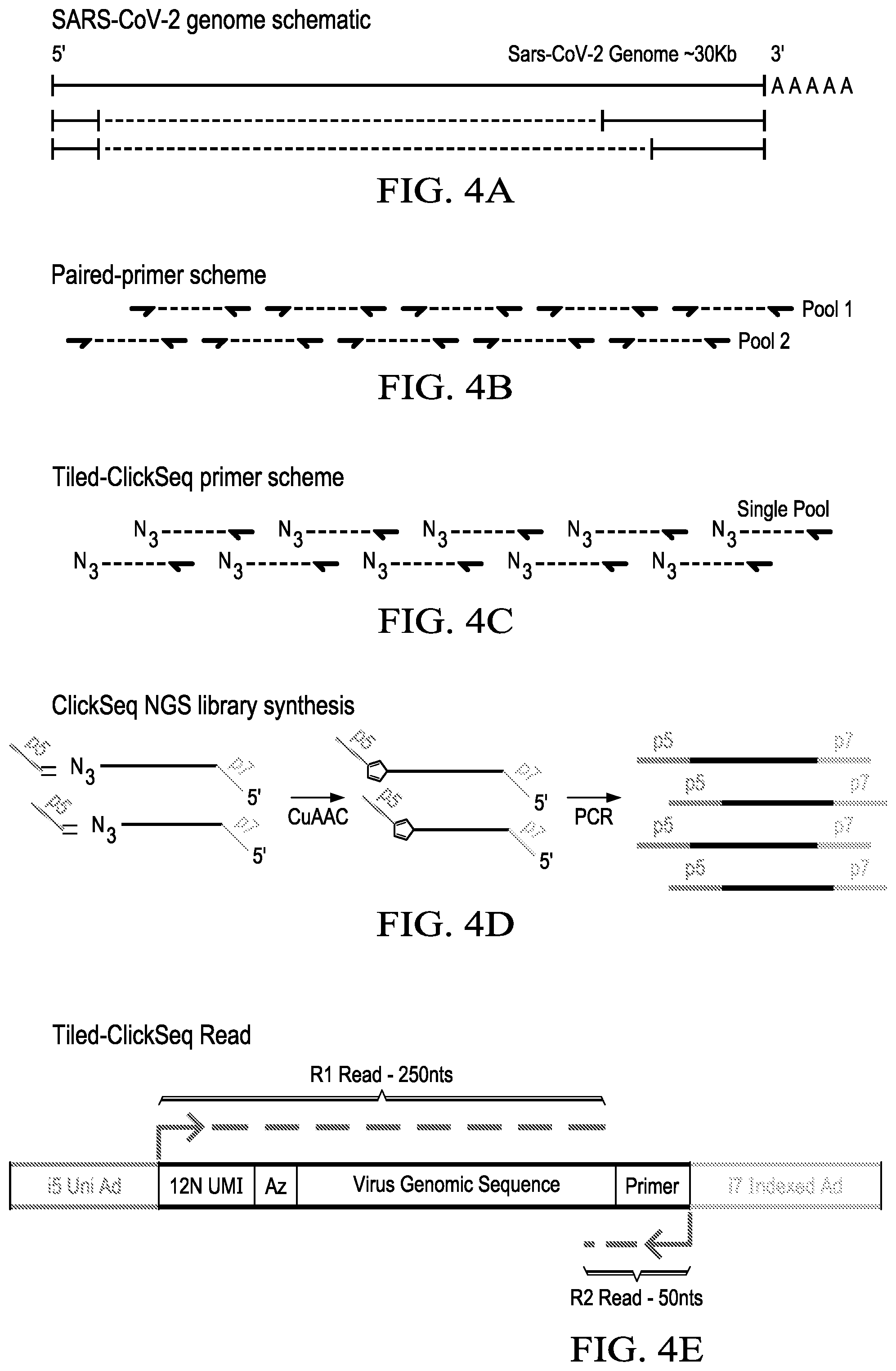 Patent US12359266 Figure 15 – Tiled ClickSeq for targeted virus whole genome sequencing