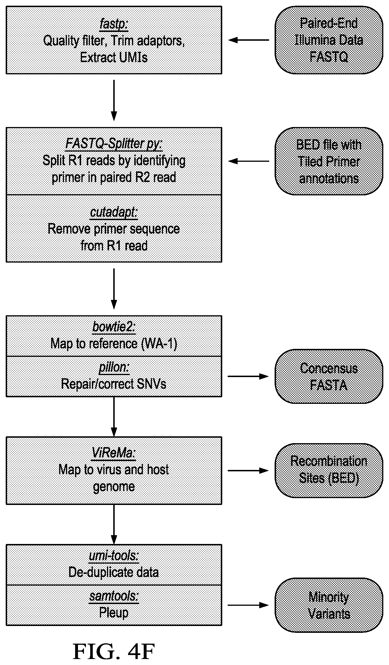 Patent US12359266 Figure 16 – Tiled ClickSeq for targeted virus whole genome sequencing