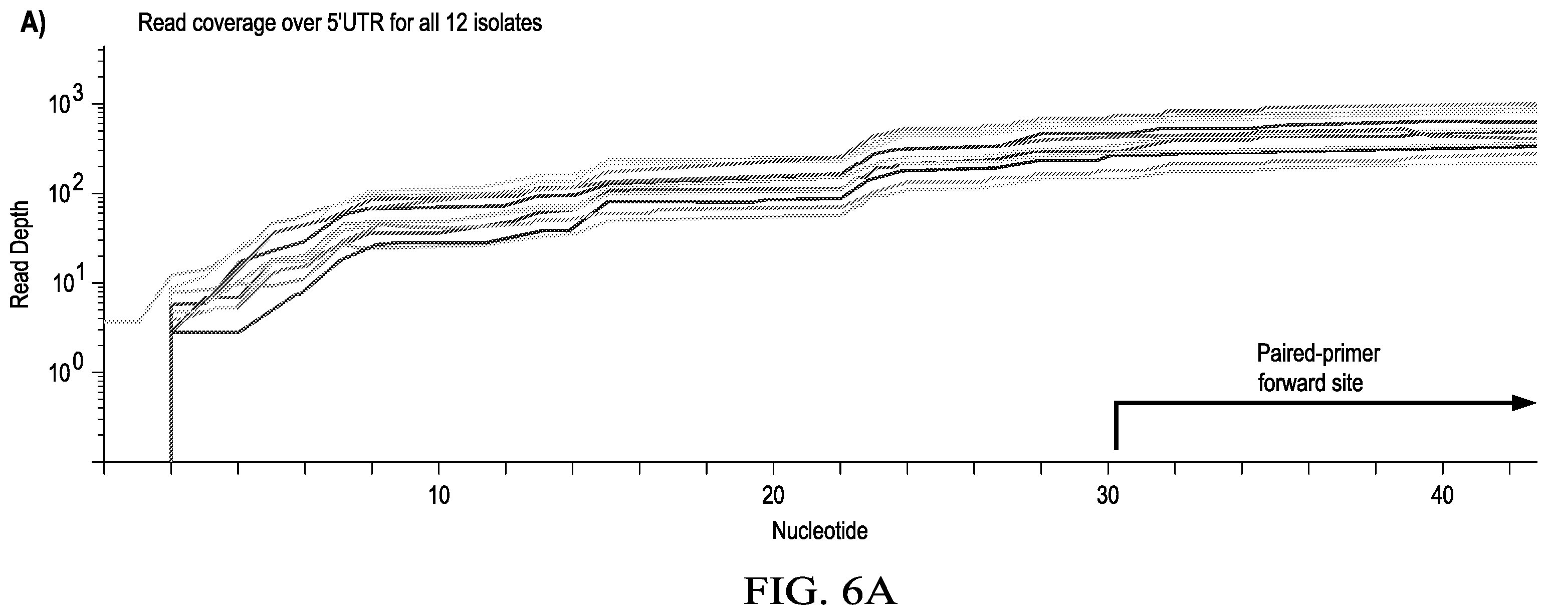 Patent US12359266 Figure 18 – Tiled ClickSeq for targeted virus whole genome sequencing