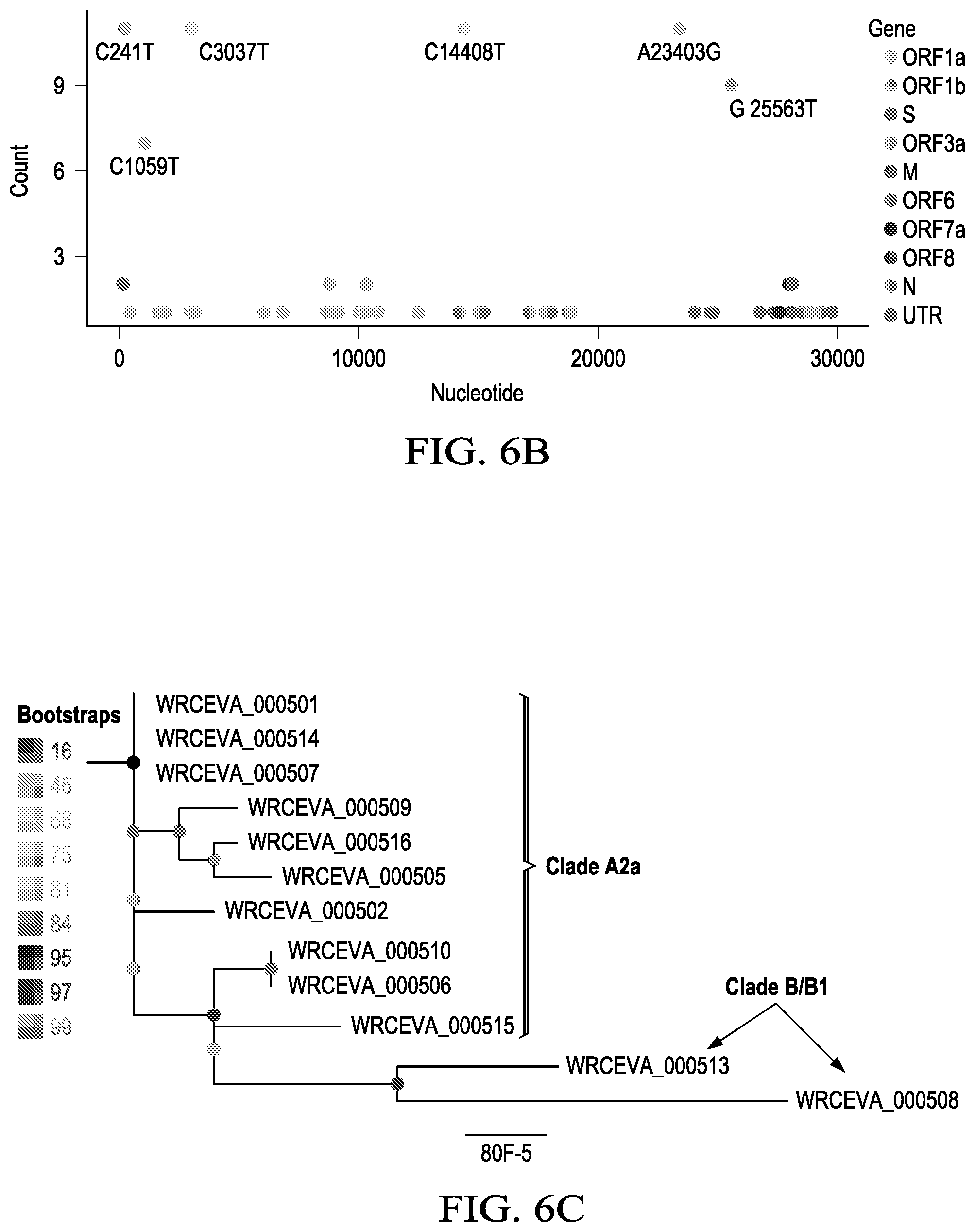 Patent US12359266 Figure 19 – Tiled ClickSeq for targeted virus whole genome sequencing