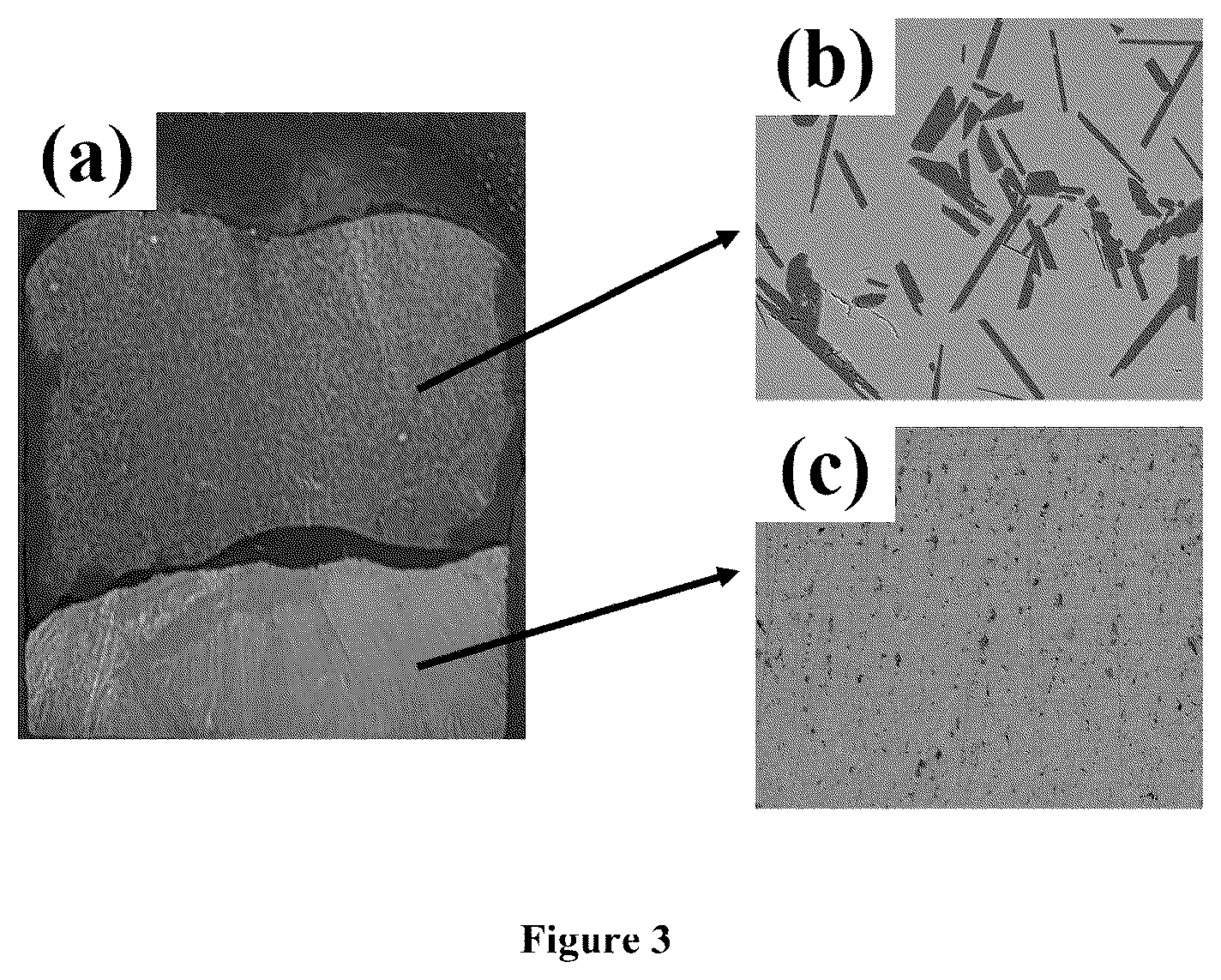 Patent US12359281 Figure 3 – Method and equipment for comprehensive utilization of niobite