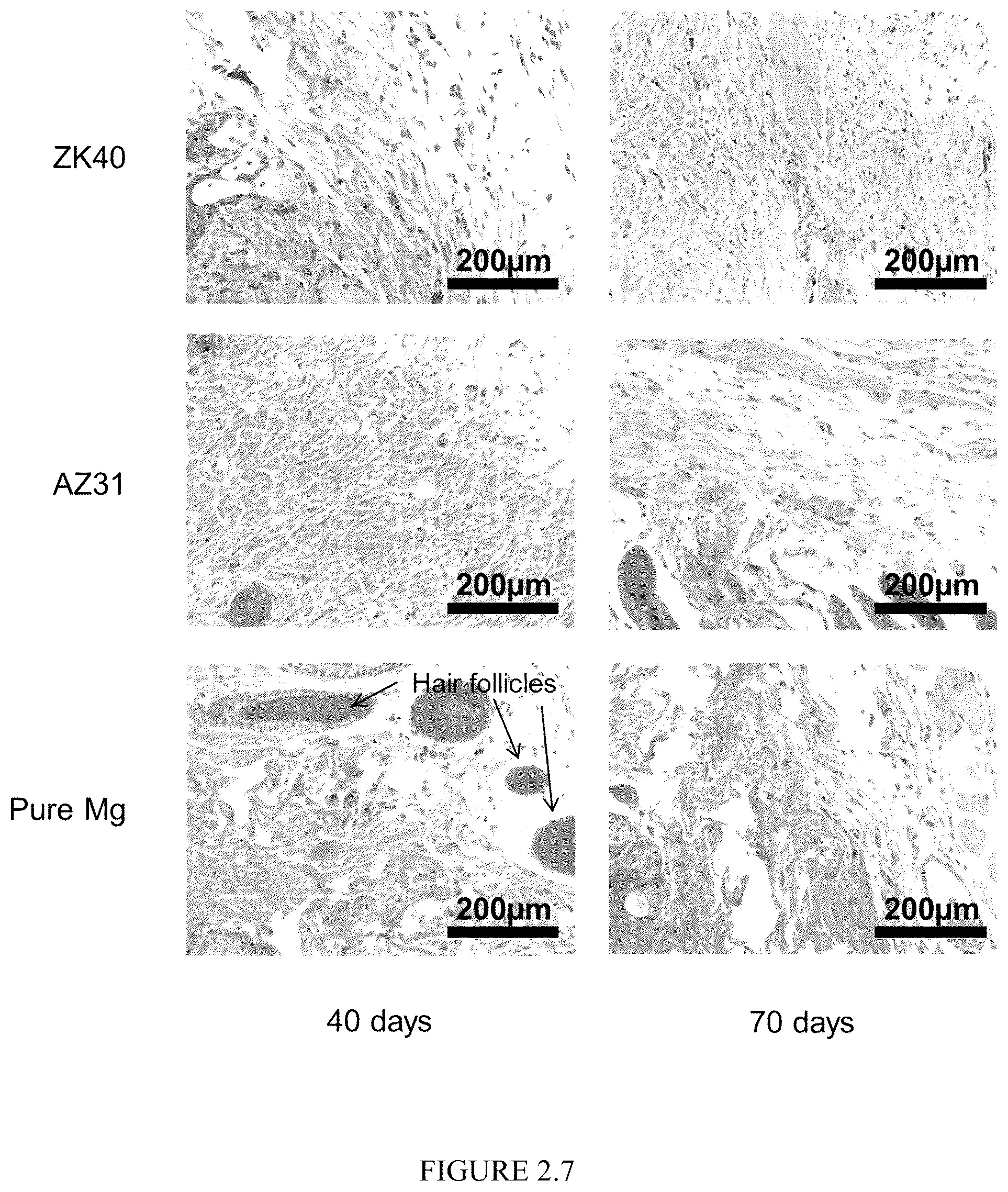 Patent US12359287 Figure 8 – Properties and parameters of novel biodegradable metallic alloys