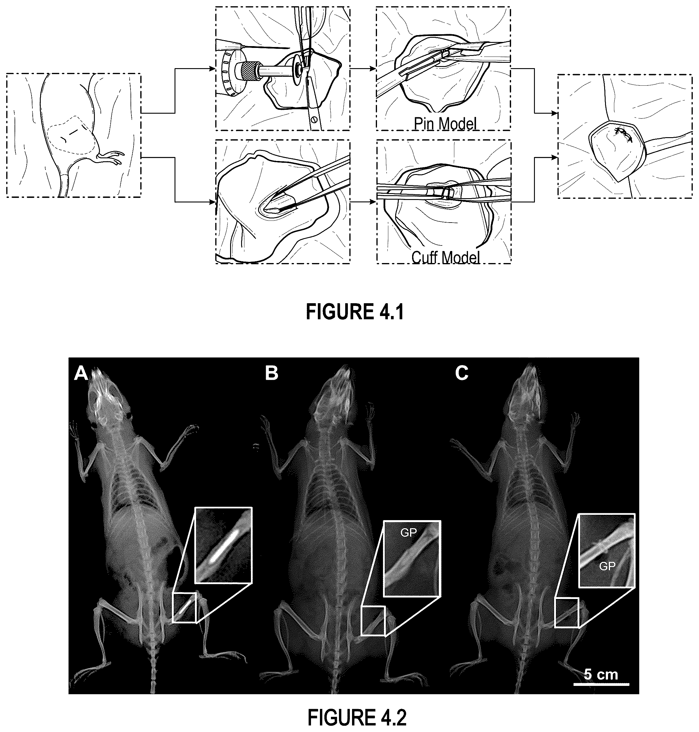 Patent US12359287 Figure 16 – Properties and parameters of novel biodegradable metallic alloys