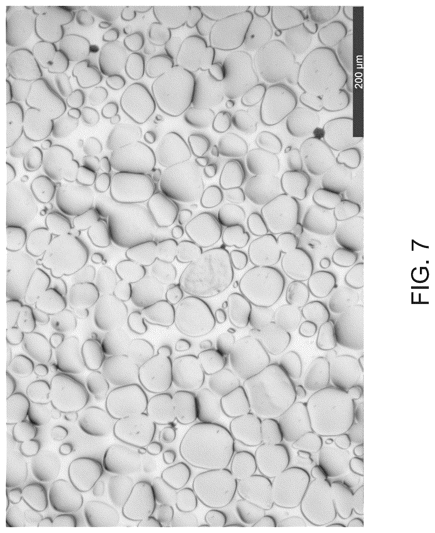 Patent US12359290 Figure 7 – Tungsten heavy metal alloy powders and methods of forming them