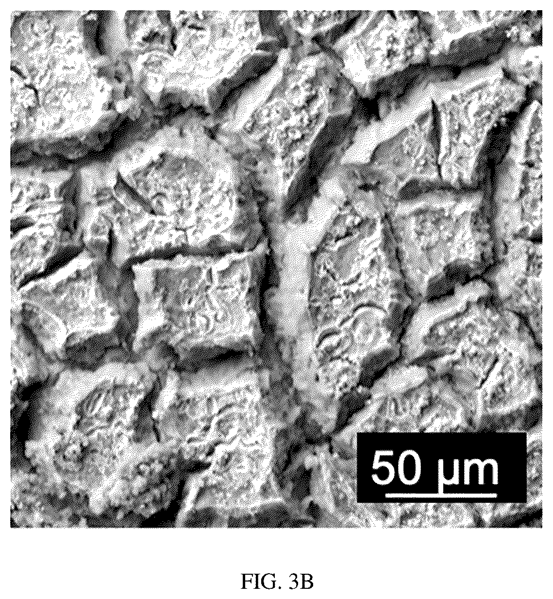 Patent US12359323 Figure 5 – Seawater electrolysis enables Mg(OH) 2 production and CO 2 mineralization