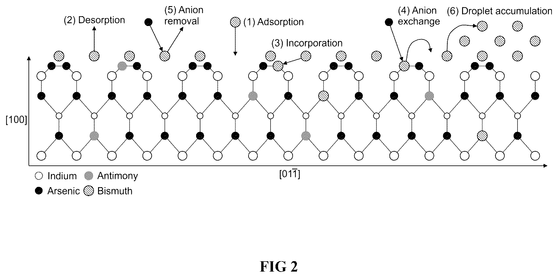 Patent US12359340 Figure 2 – Kinetic model for molecular beam epitaxy growth of III-V bismide alloys