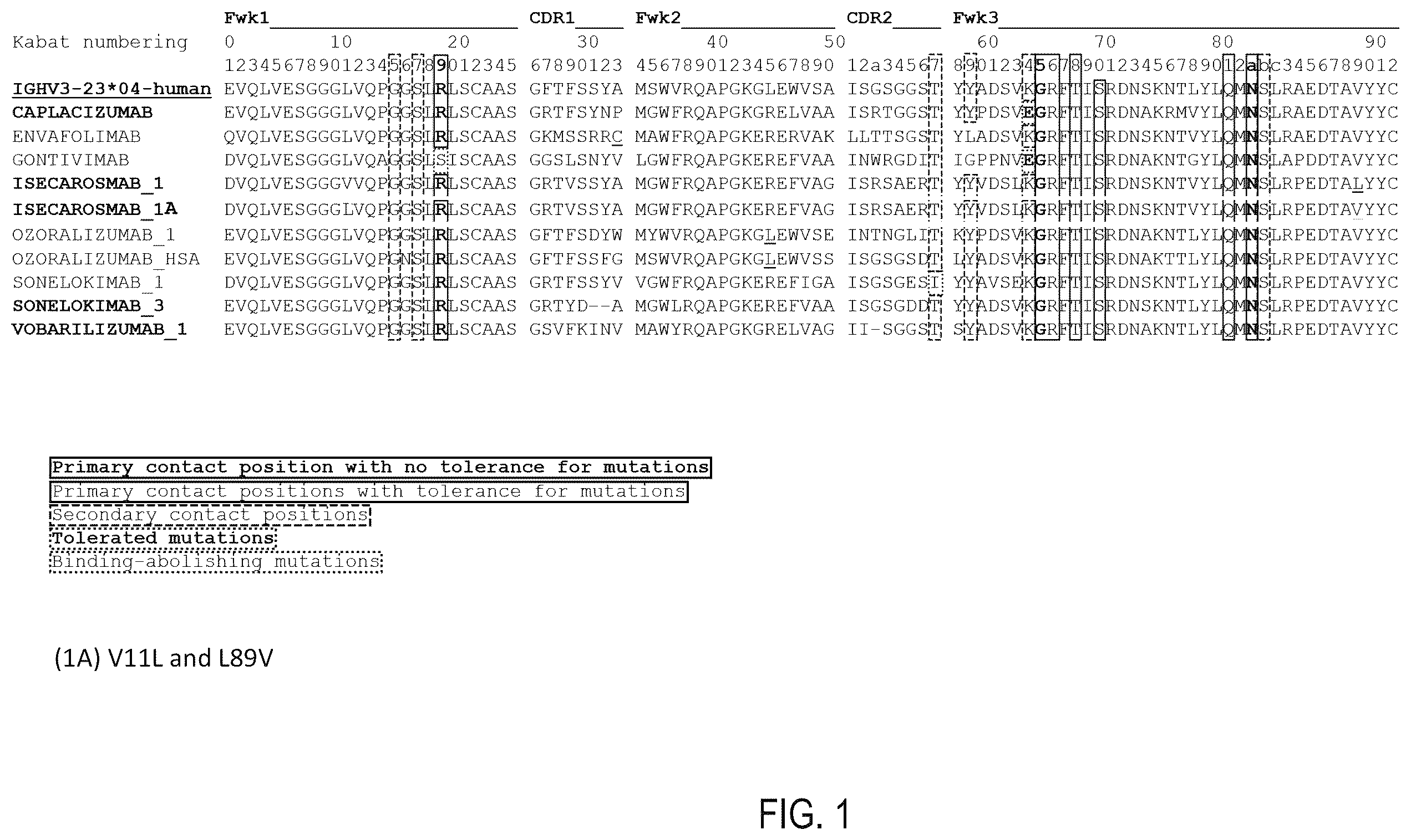 Patent US12359345 Figure 1 – Single domain antibody libraries with maximized antibody developability characteristics