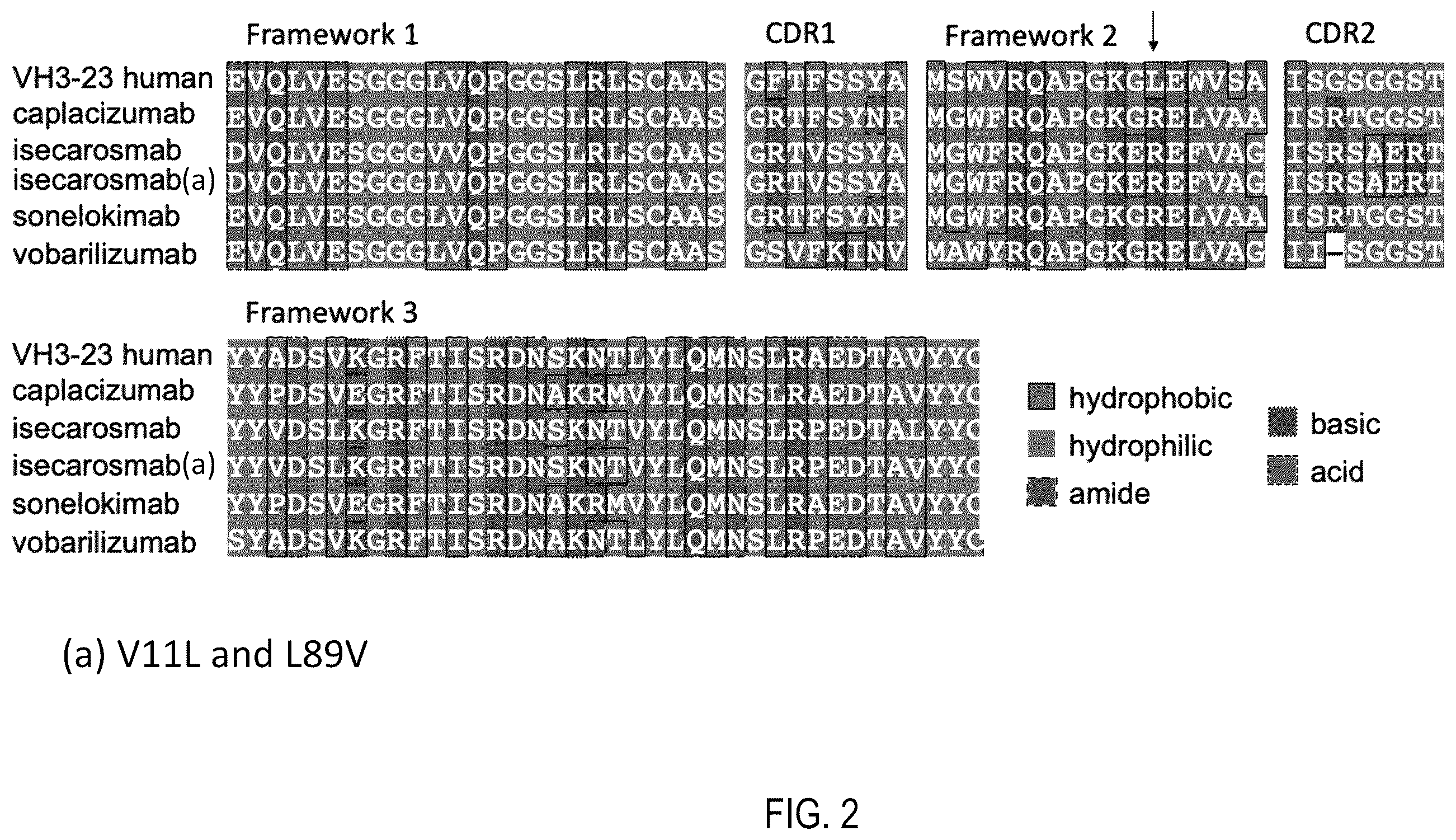 Patent US12359345 Figure 2 – Single domain antibody libraries with maximized antibody developability characteristics