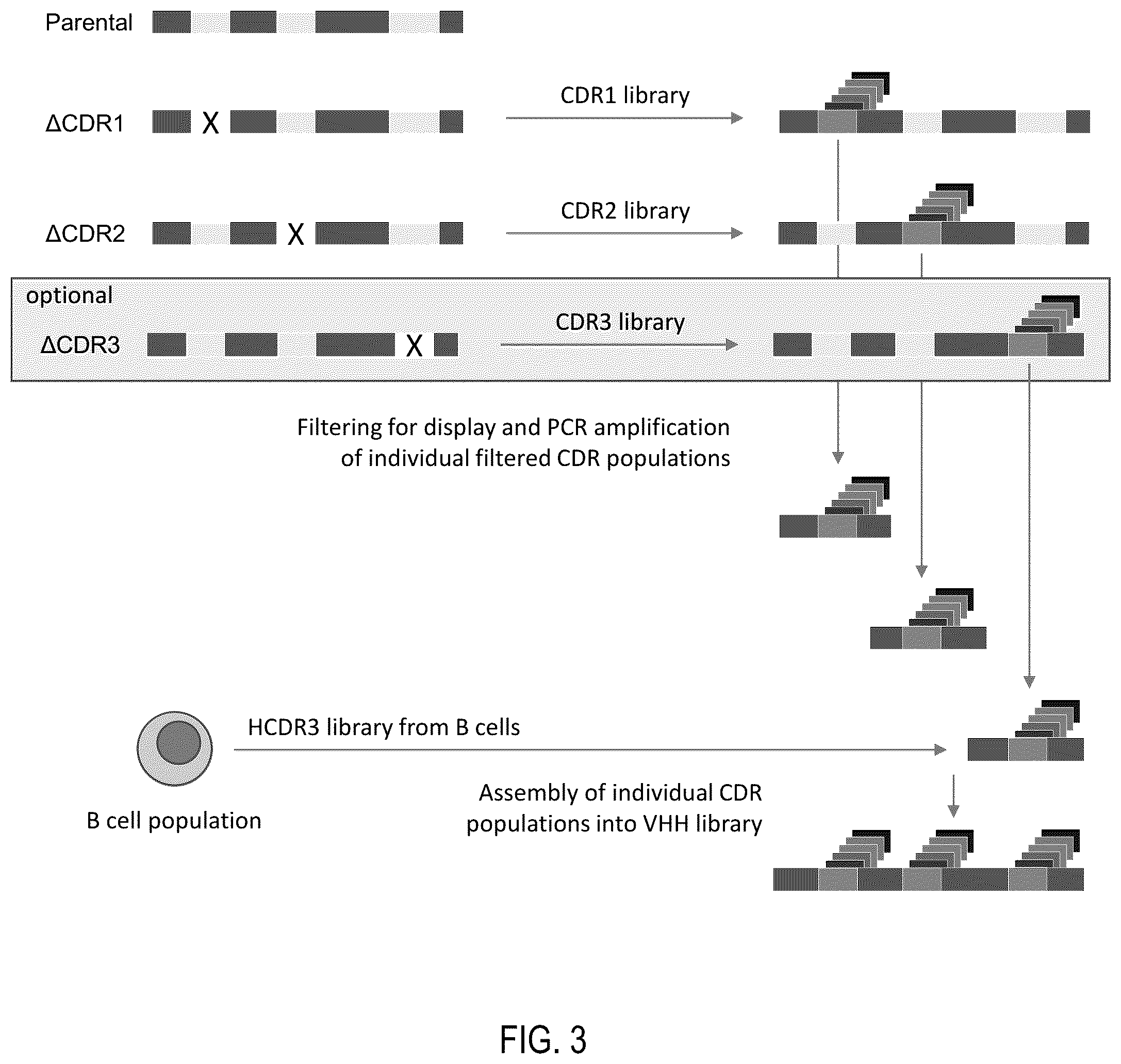 Patent US12359345 Figure 3 – Single domain antibody libraries with maximized antibody developability characteristics