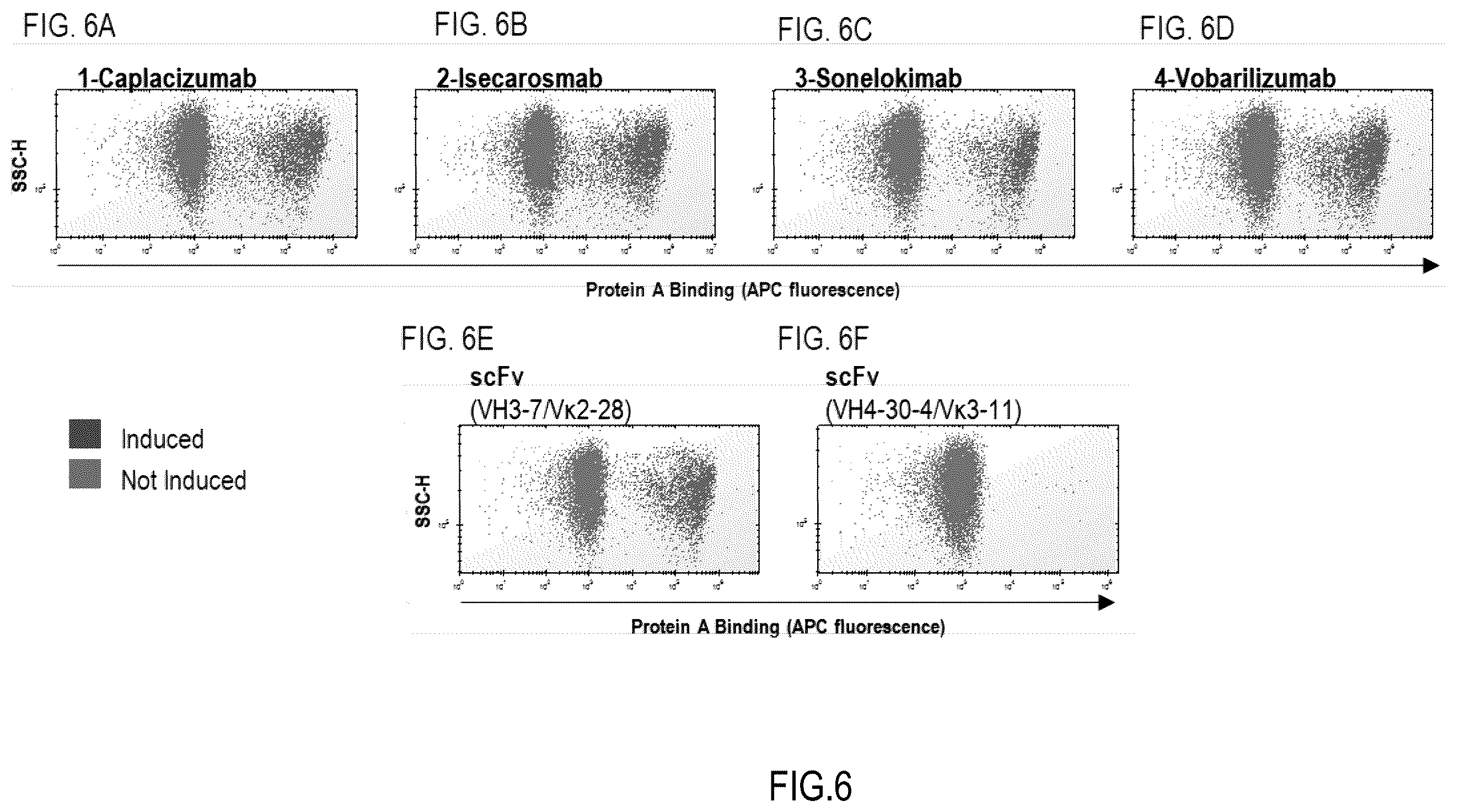 Patent US12359345 Figure 6 – Single domain antibody libraries with maximized antibody developability characteristics
