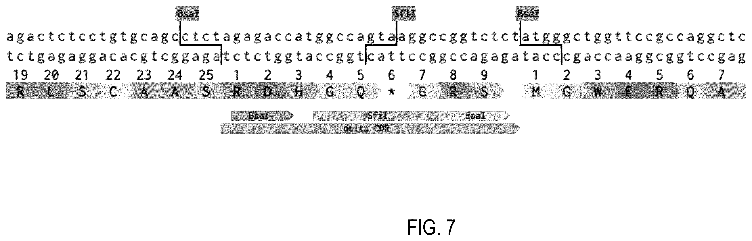 Patent US12359345 Figure 7 – Single domain antibody libraries with maximized antibody developability characteristics