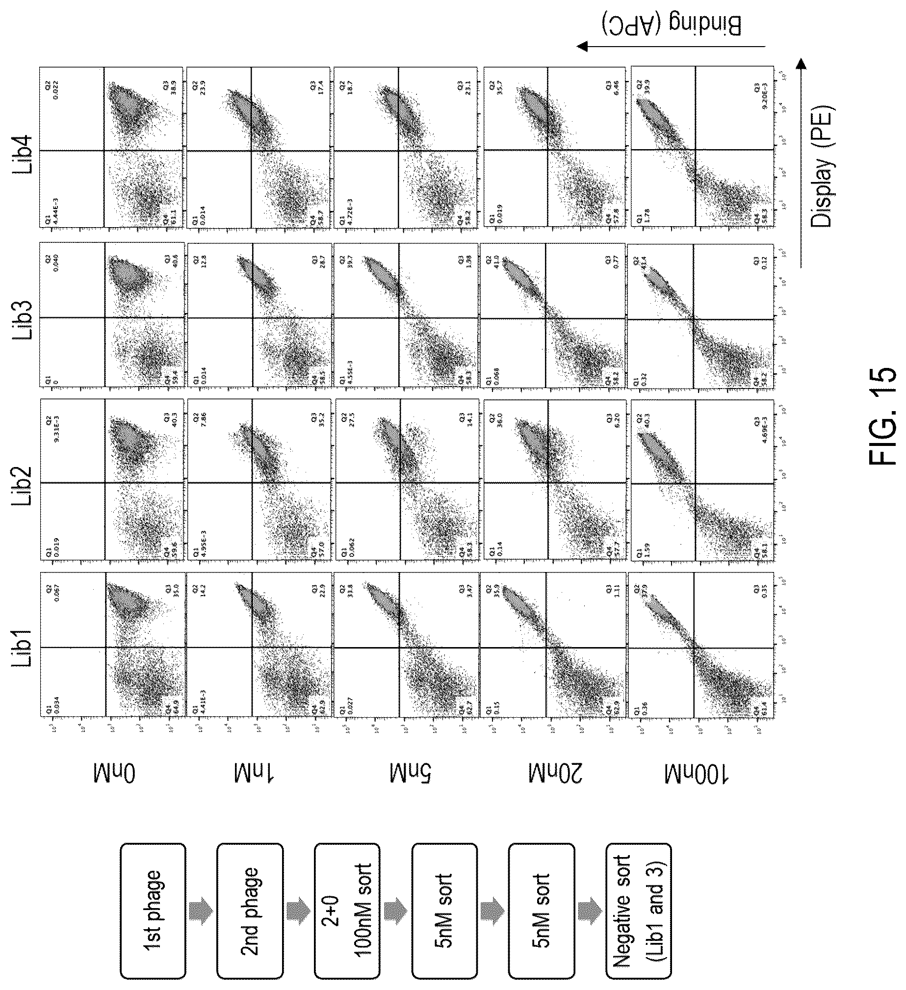 Patent US12359345 Figure 13 – Single domain antibody libraries with maximized antibody developability characteristics