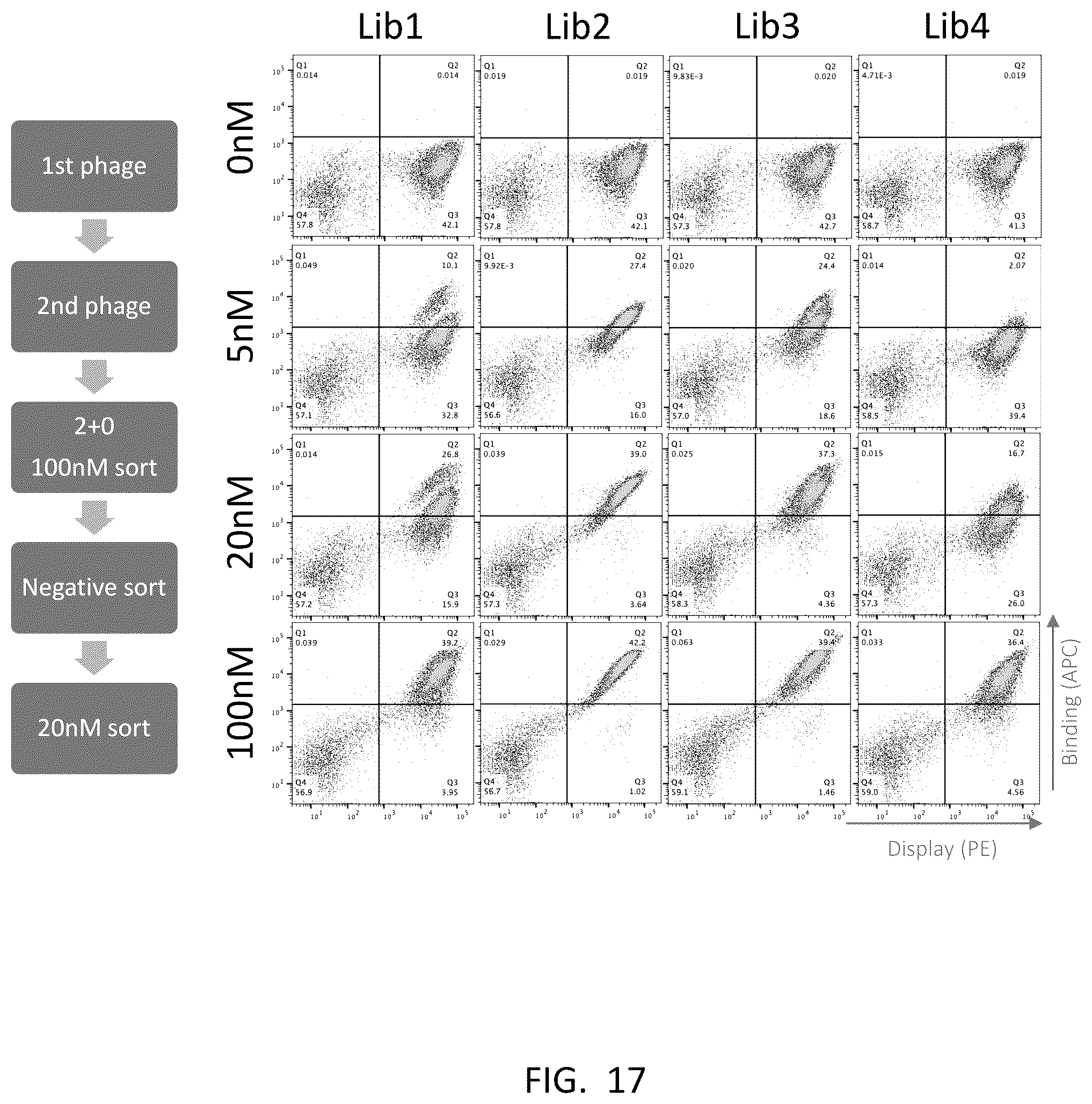 Patent US12359345 Figure 15 – Single domain antibody libraries with maximized antibody developability characteristics