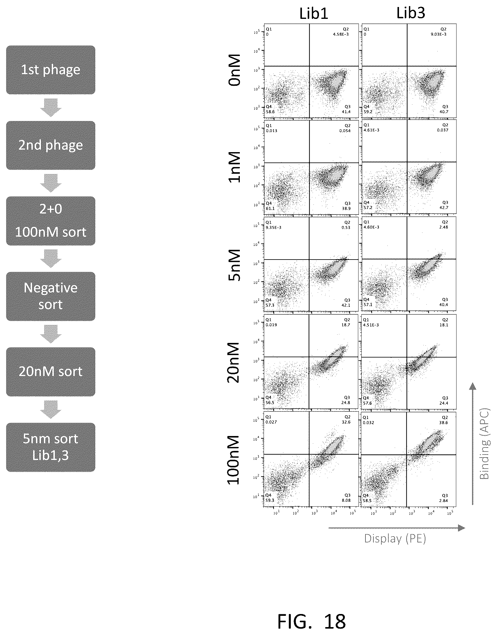Patent US12359345 Figure 16 – Single domain antibody libraries with maximized antibody developability characteristics