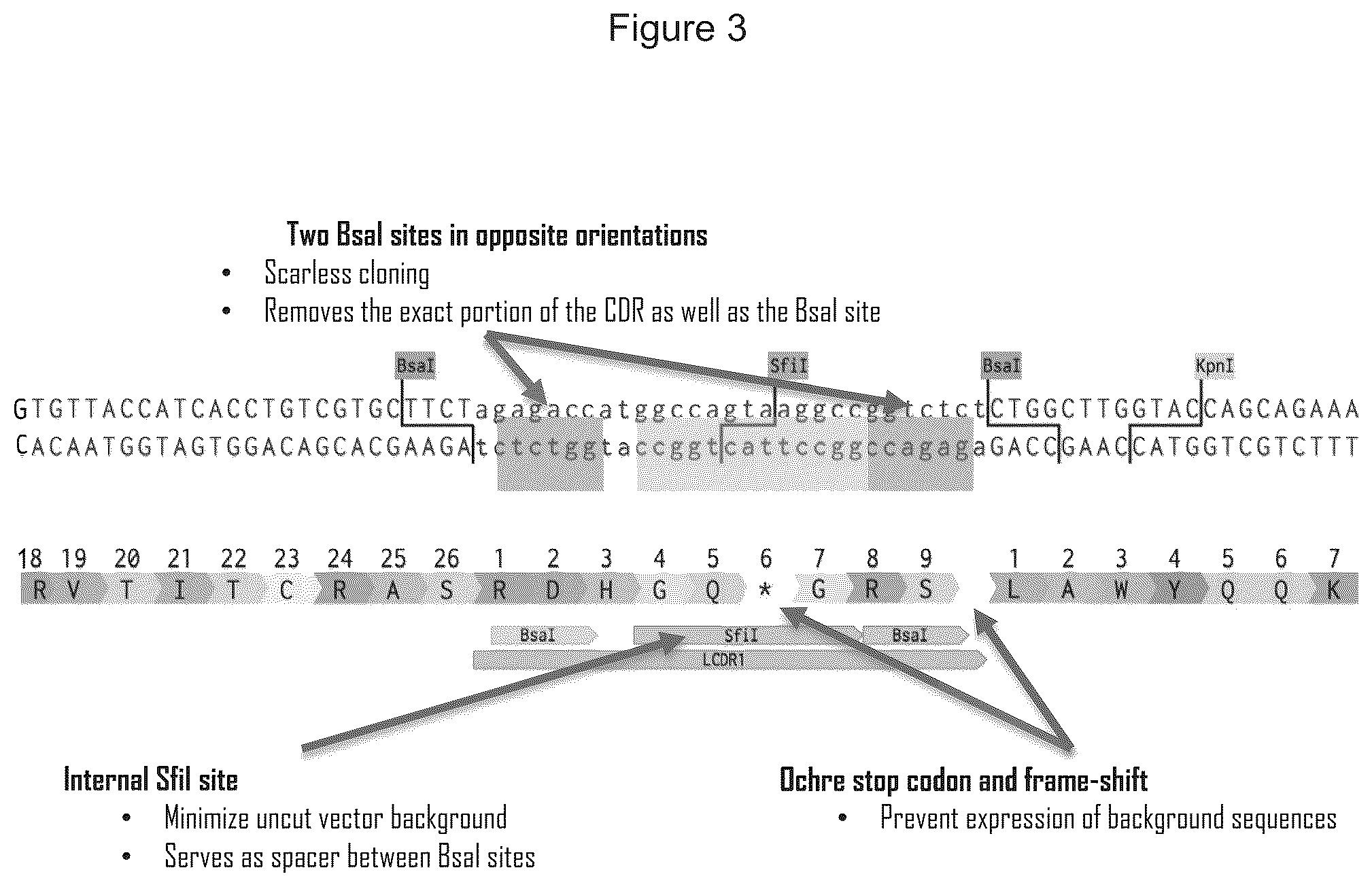 Patent US12359346 Figure 3 – Antibody libraries with maximized antibody developability characteristics