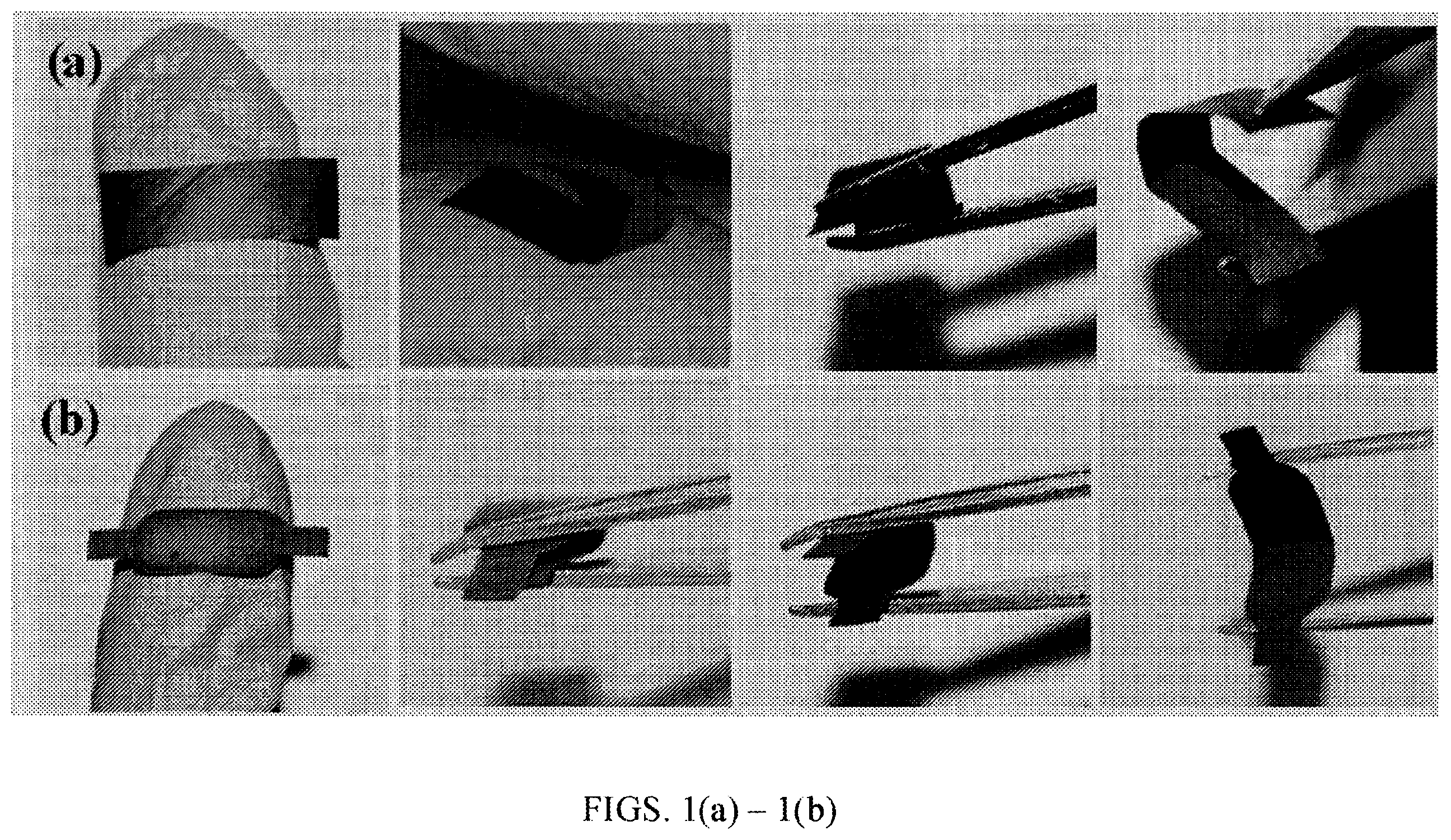 Patent US12359350 — Hybrid carbon nanofibers products and methods of fabricating the same — Figure 1