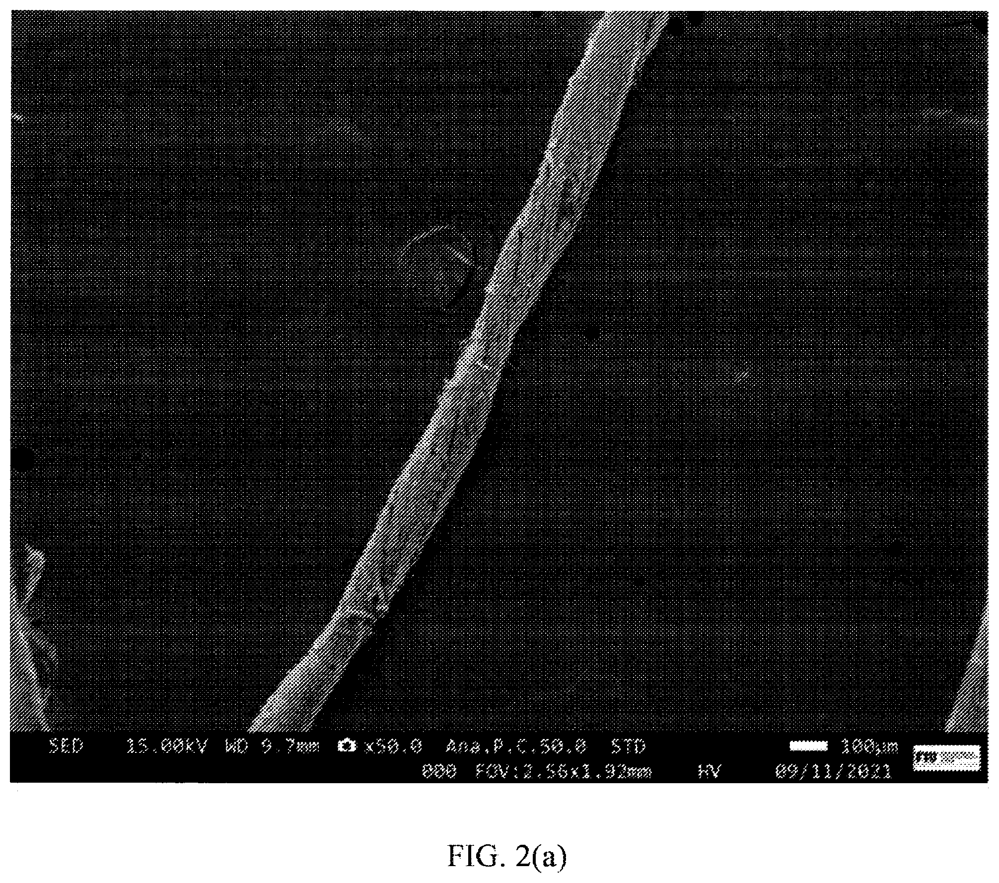 Patent US12359350 Figure 2 – Hybrid carbon nanofibers products and methods of fabricating the same