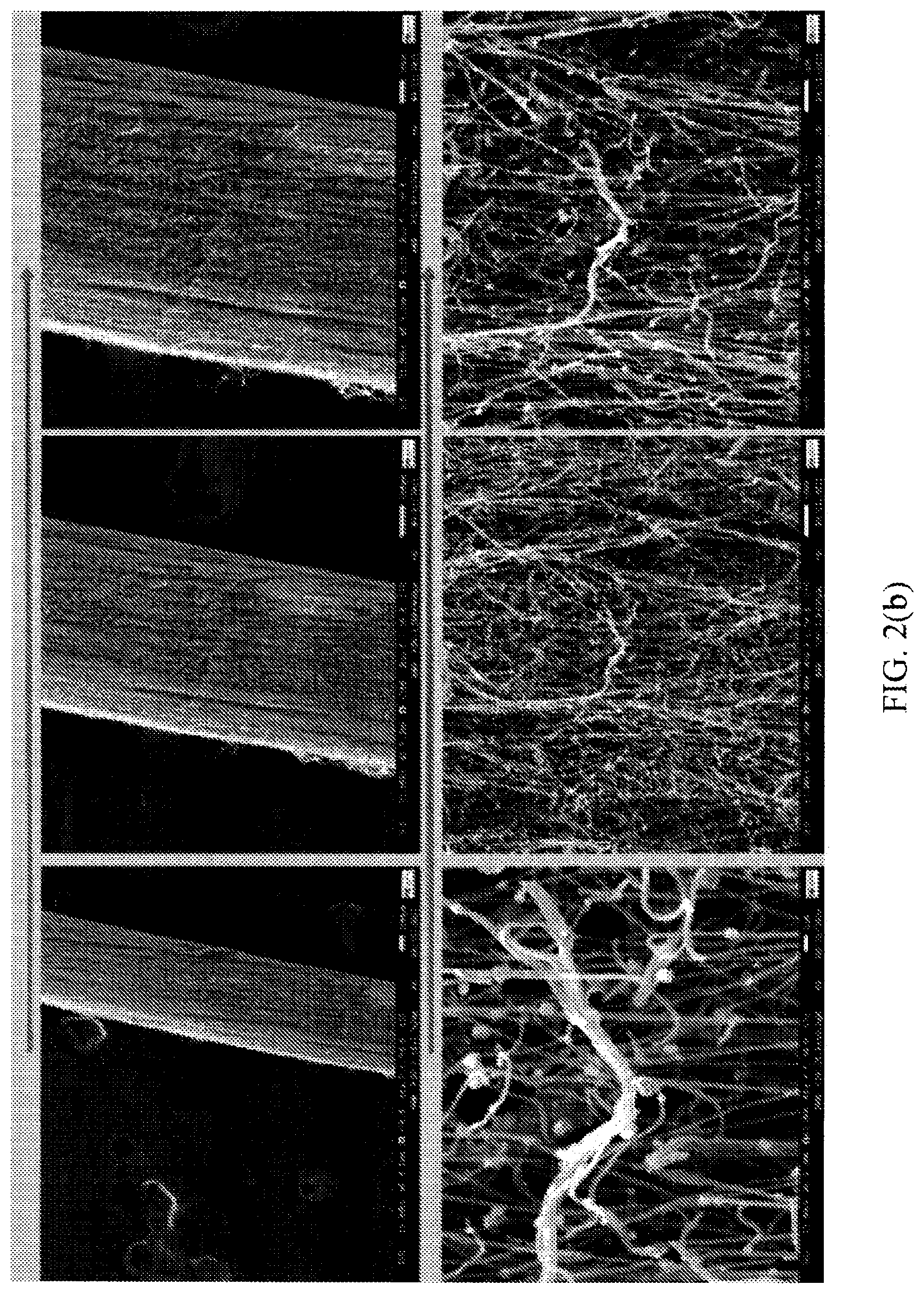 Patent US12359350 Figure 3 – Hybrid carbon nanofibers products and methods of fabricating the same
