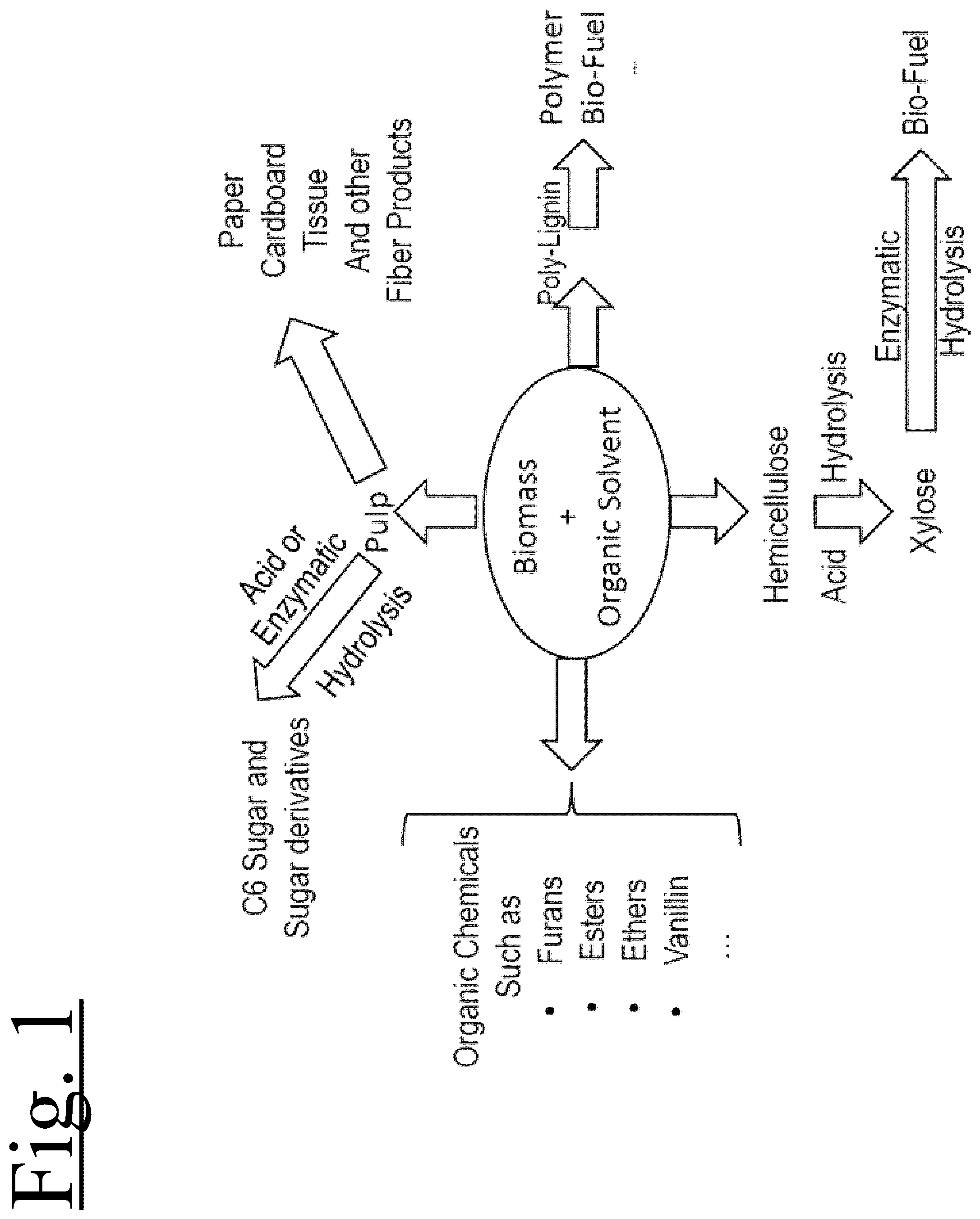 Patent US12359372 Figure 1 – Catalyst free organosolv process, system and method for fractionation of lignocellulosic materials and bioproducts recovery