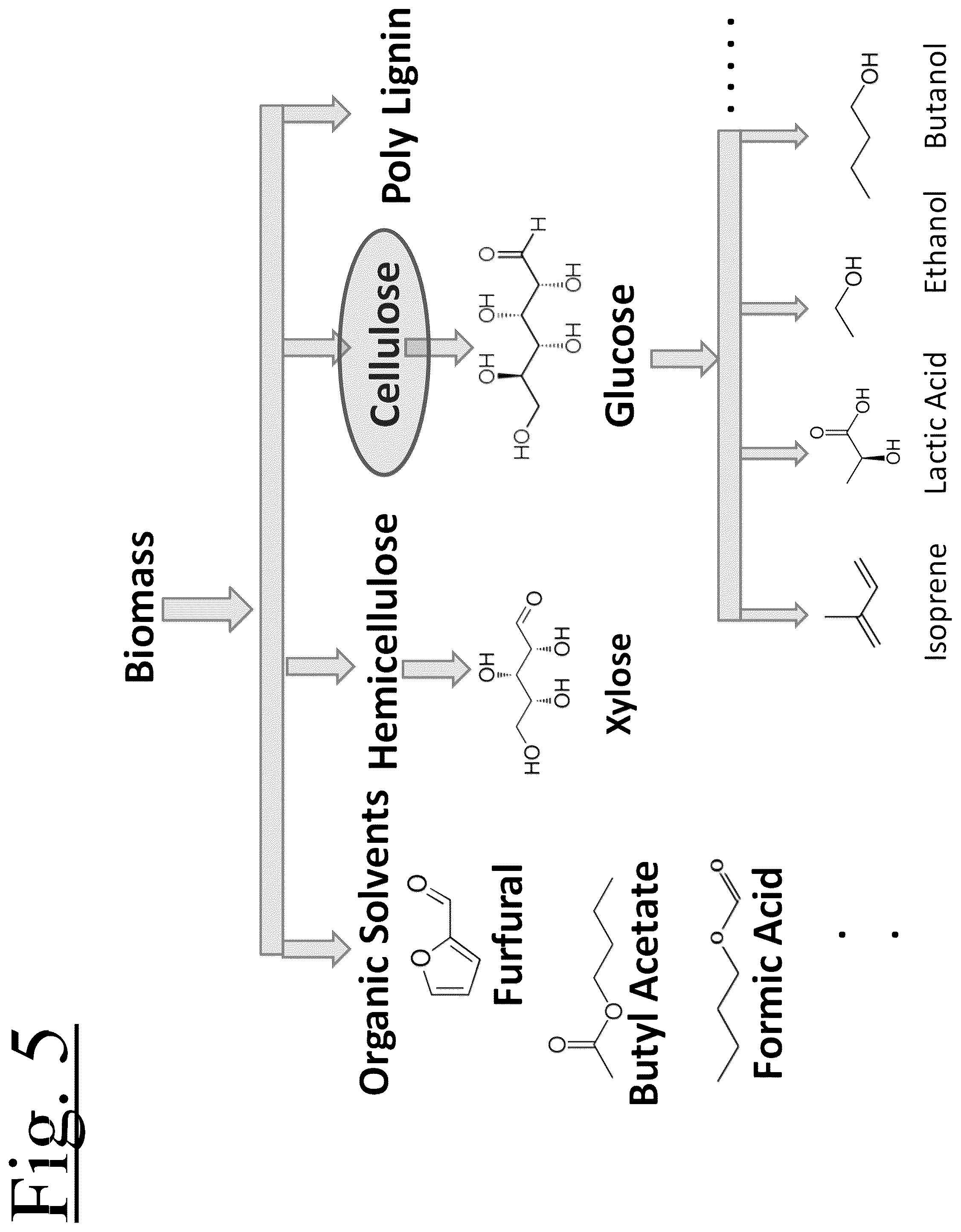 Patent US12359372 Figure 5 – Catalyst free organosolv process, system and method for fractionation of lignocellulosic materials and bioproducts recovery