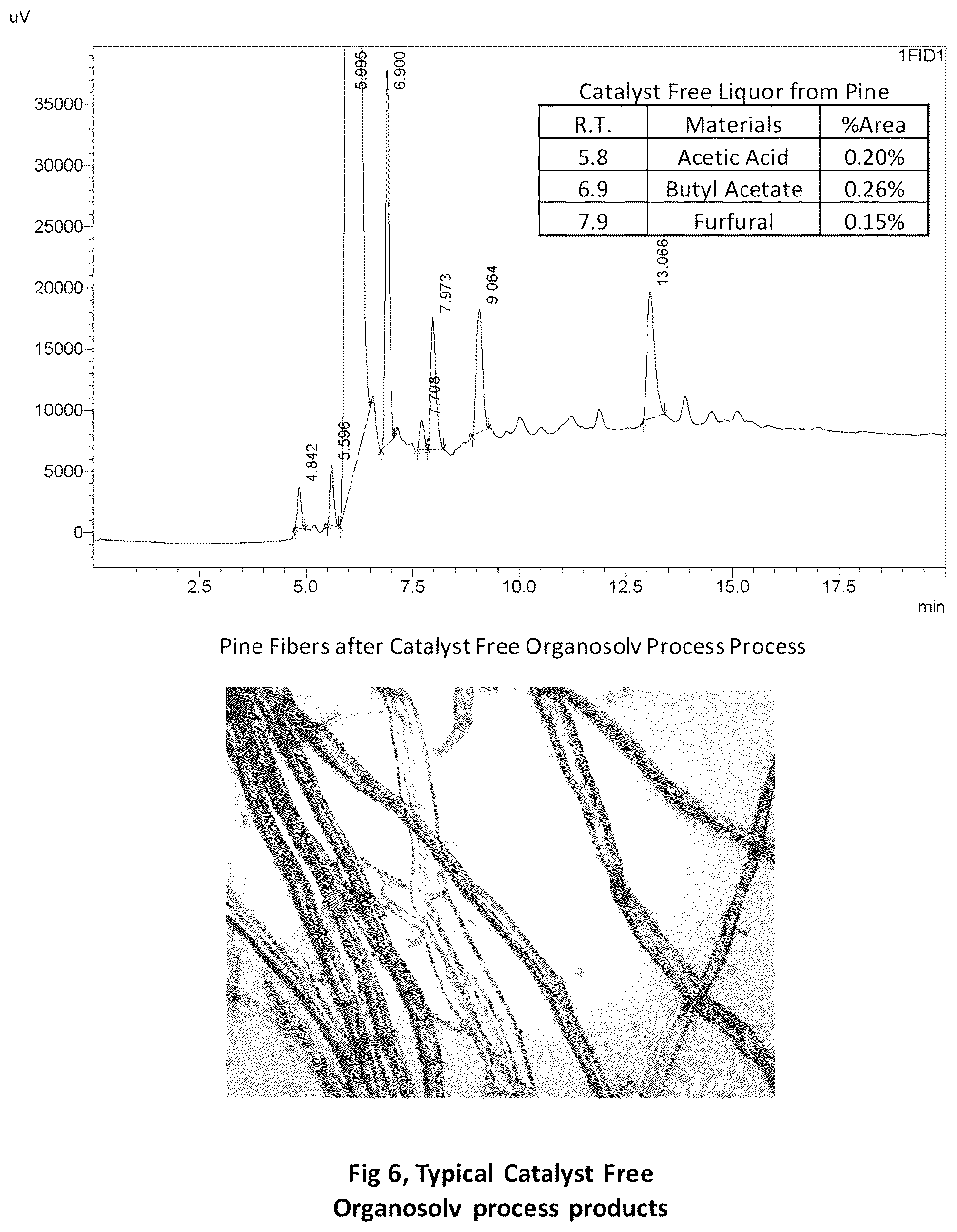 Patent US12359372 Figure 6 – Catalyst free organosolv process, system and method for fractionation of lignocellulosic materials and bioproducts recovery