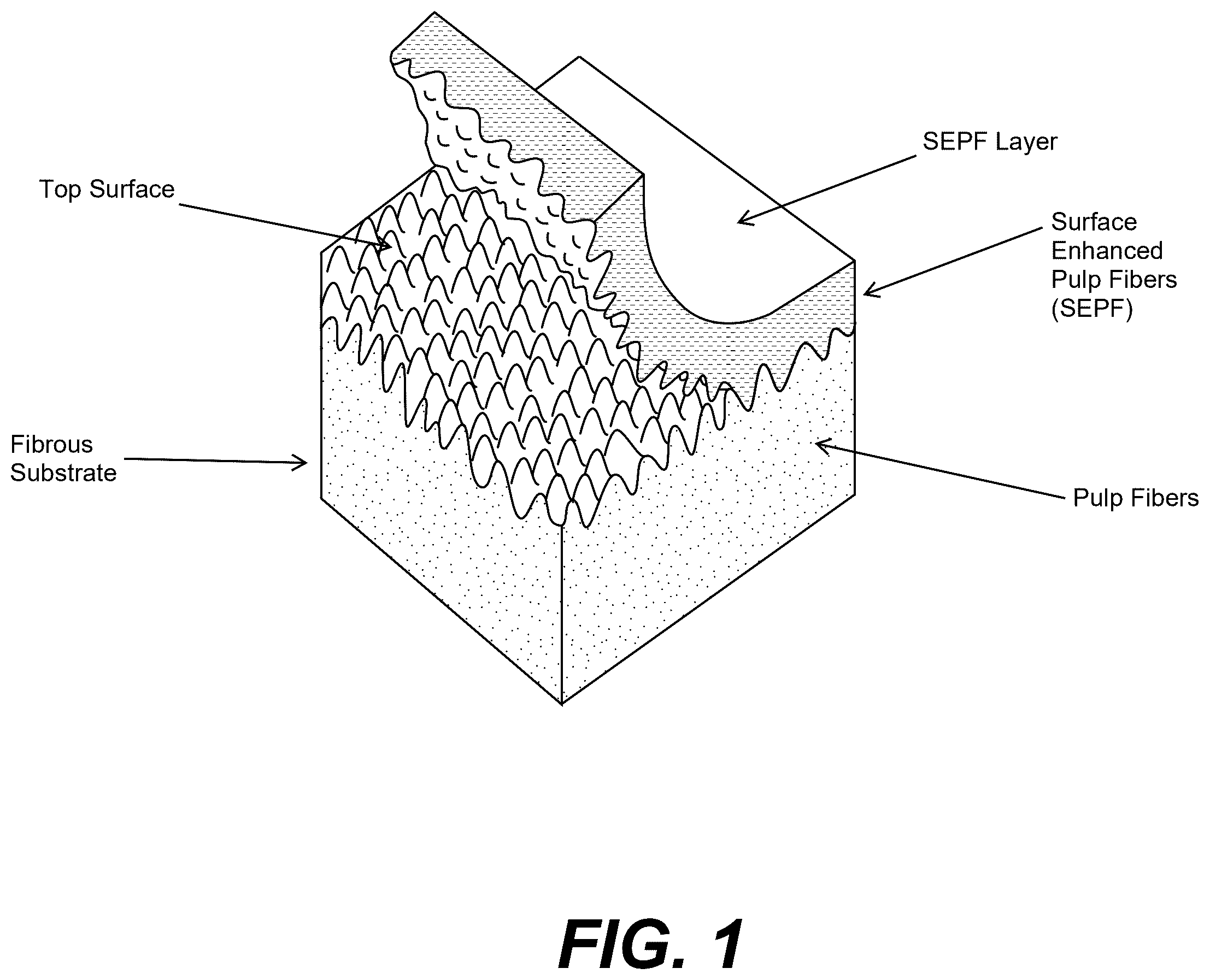 Patent US12359375 Figure 1 – Surface enhanced pulp fibers at a substrate surface