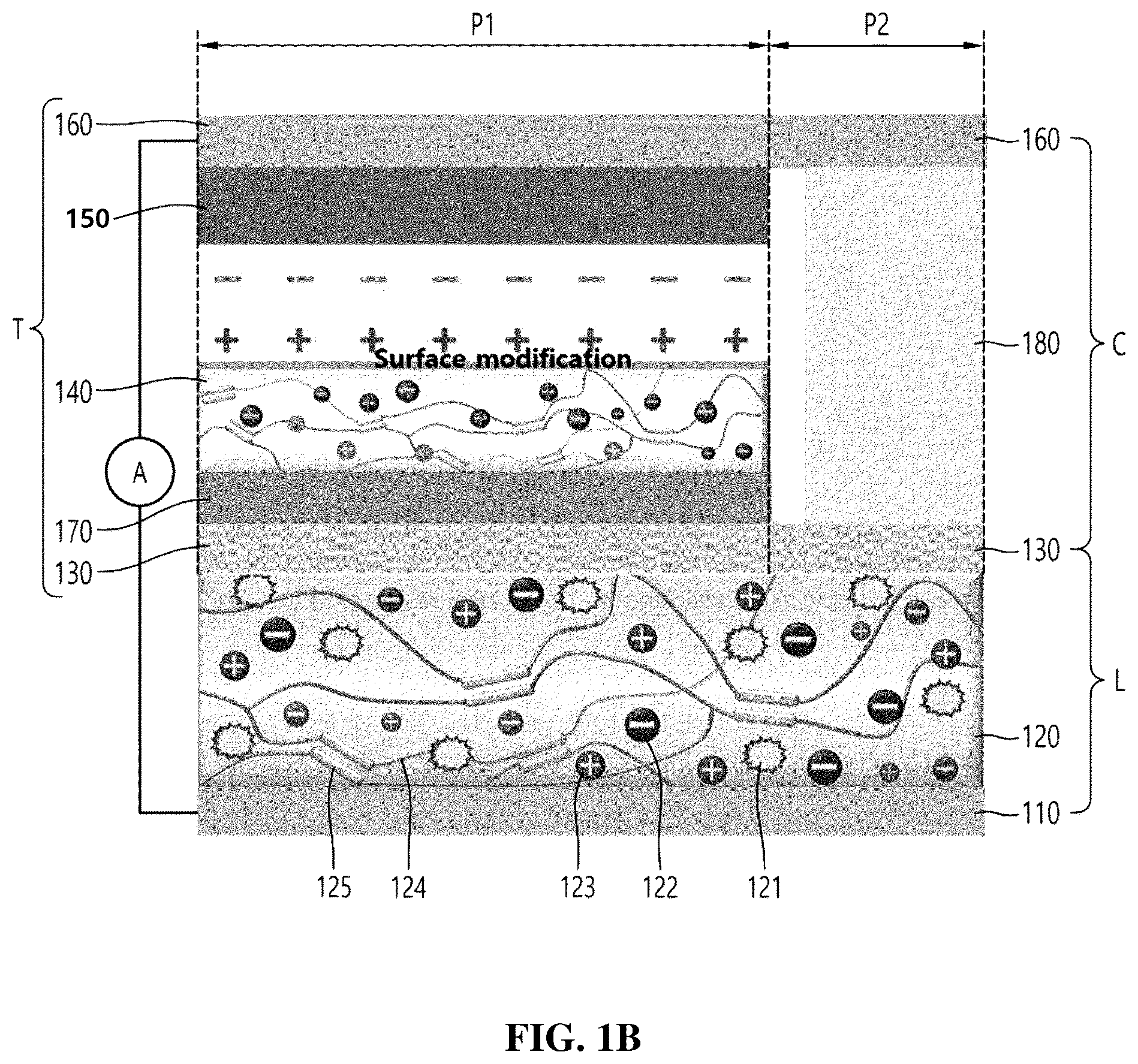 Patent US12359777 Figure 2 – Self generation pressure-sensitive light emitting device and method thereof