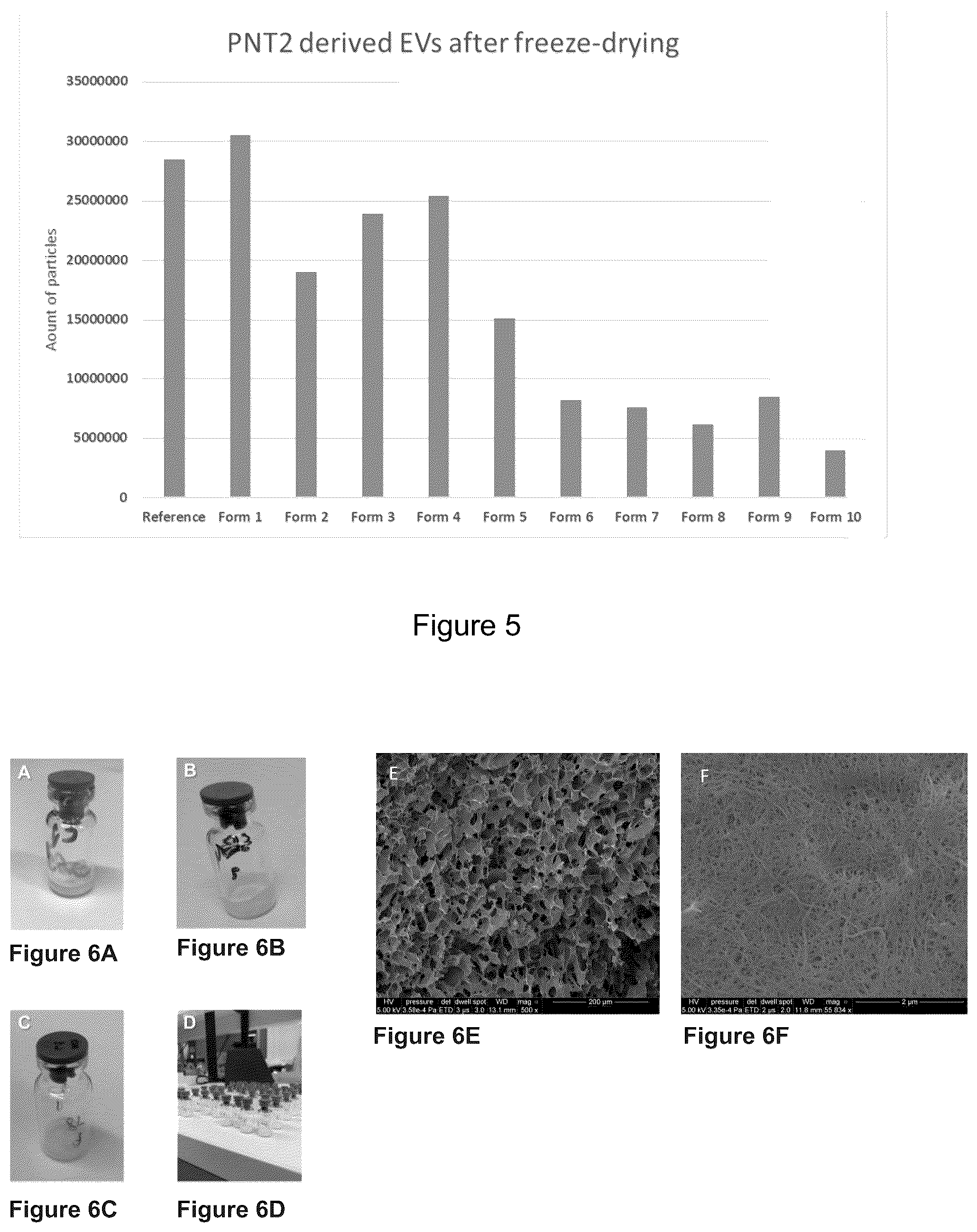 Patent US12359870 Figure 3 – Method for freeze-drying a hydrogel composition and a freeze-dried hydrogel composition