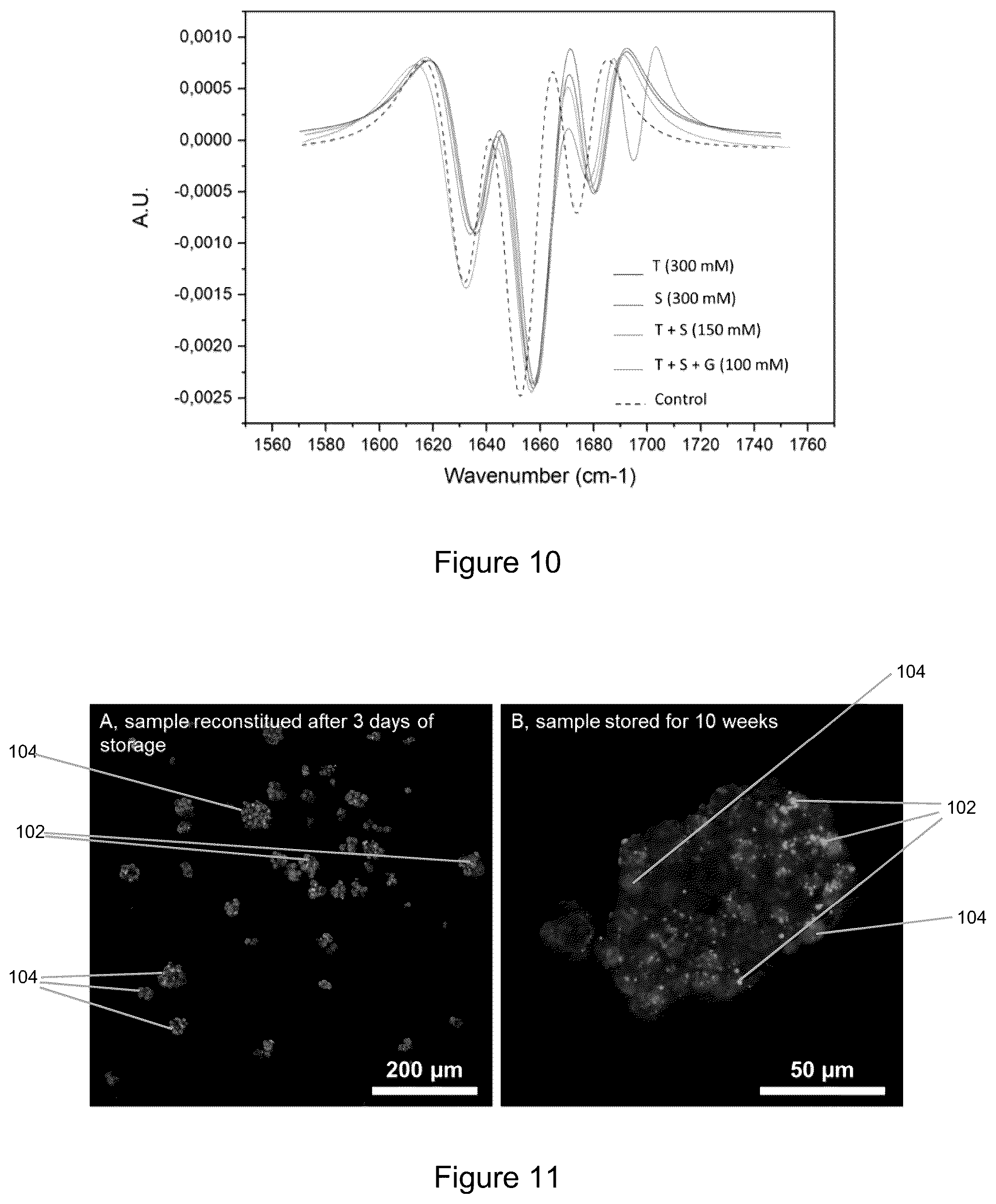 Patent US12359870 Figure 7 – Method for freeze-drying a hydrogel composition and a freeze-dried hydrogel composition