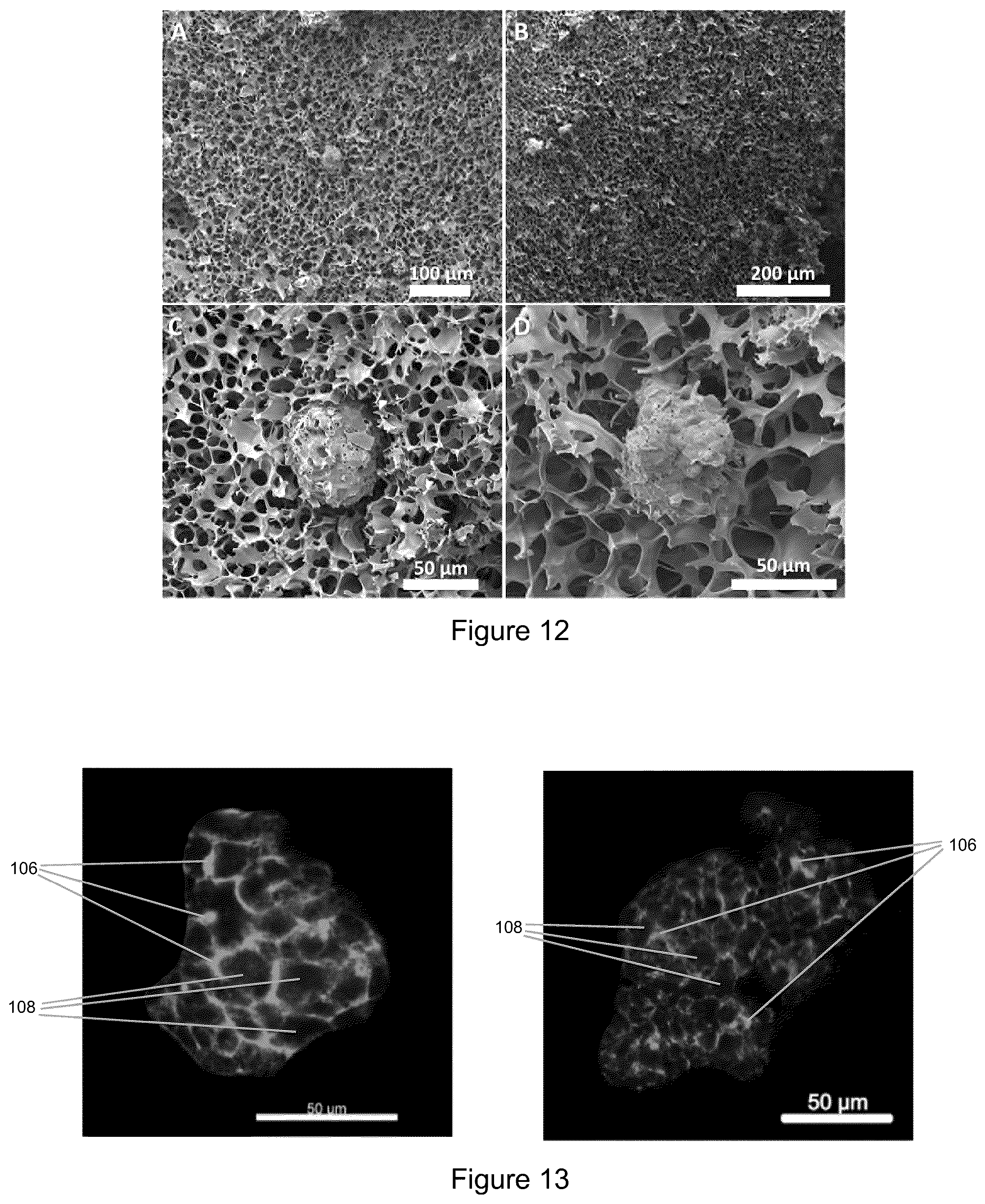 Patent US12359870 Figure 8 – Method for freeze-drying a hydrogel composition and a freeze-dried hydrogel composition