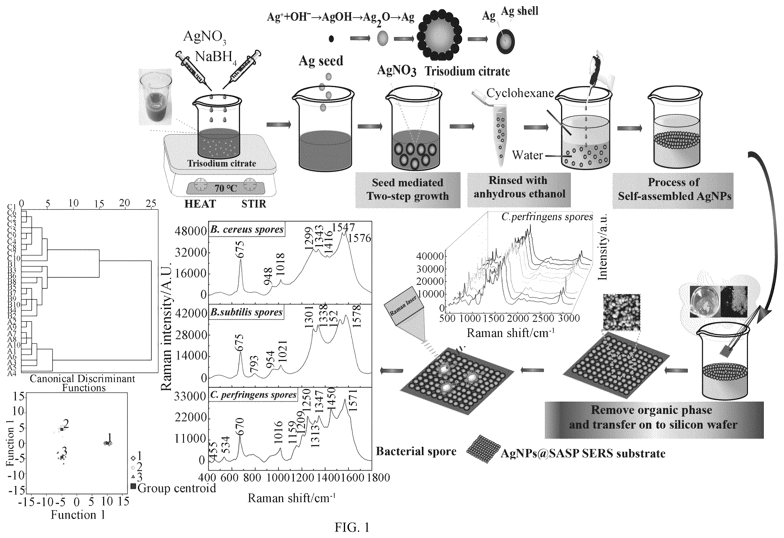 Patent US12360046 Figure 1 – Method for preparing AgNPs@Sasp substrate material and application thereof