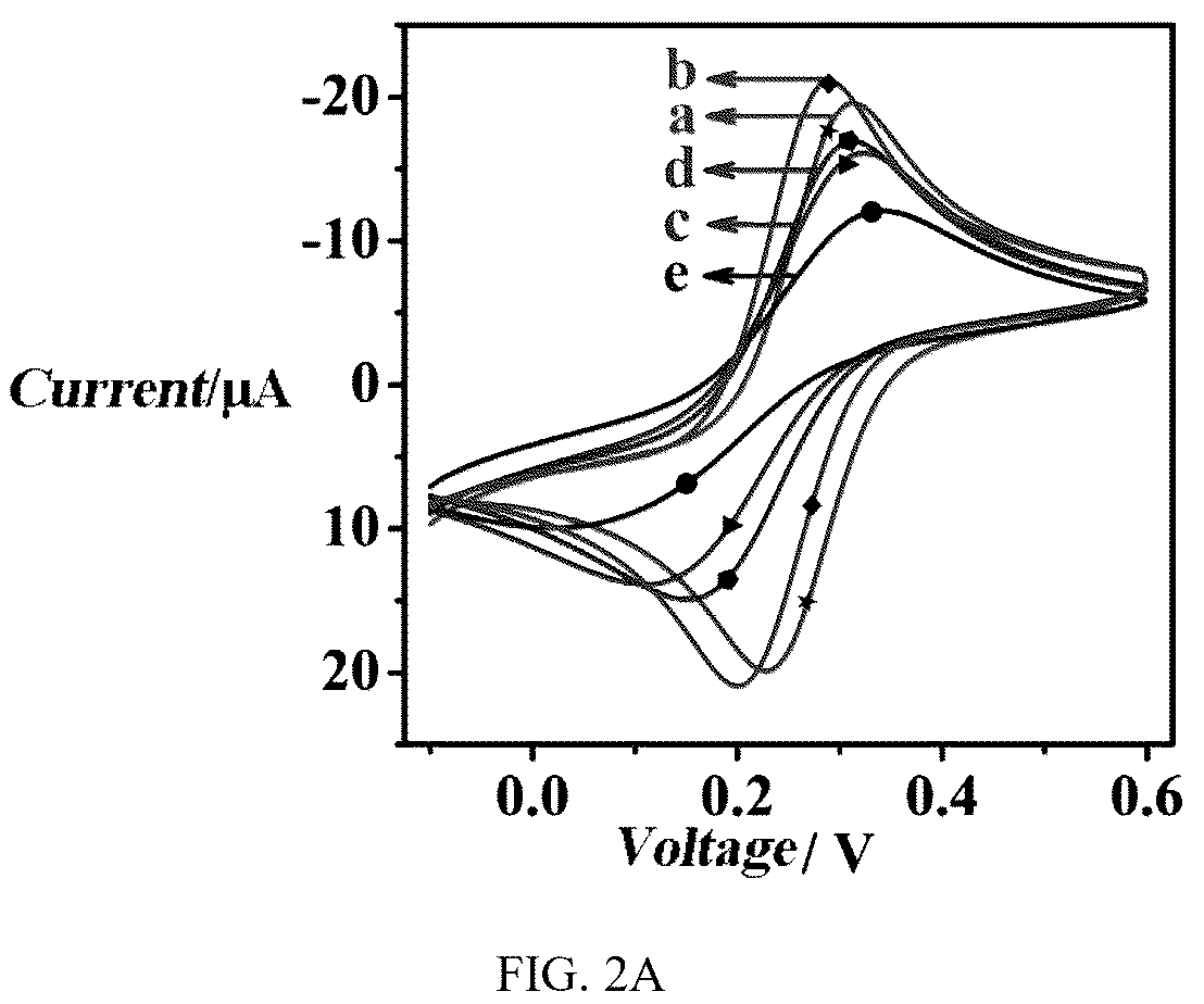 Patent US12360075 Figure 2 – Construction method and application of microRNA electrochemical biosensor