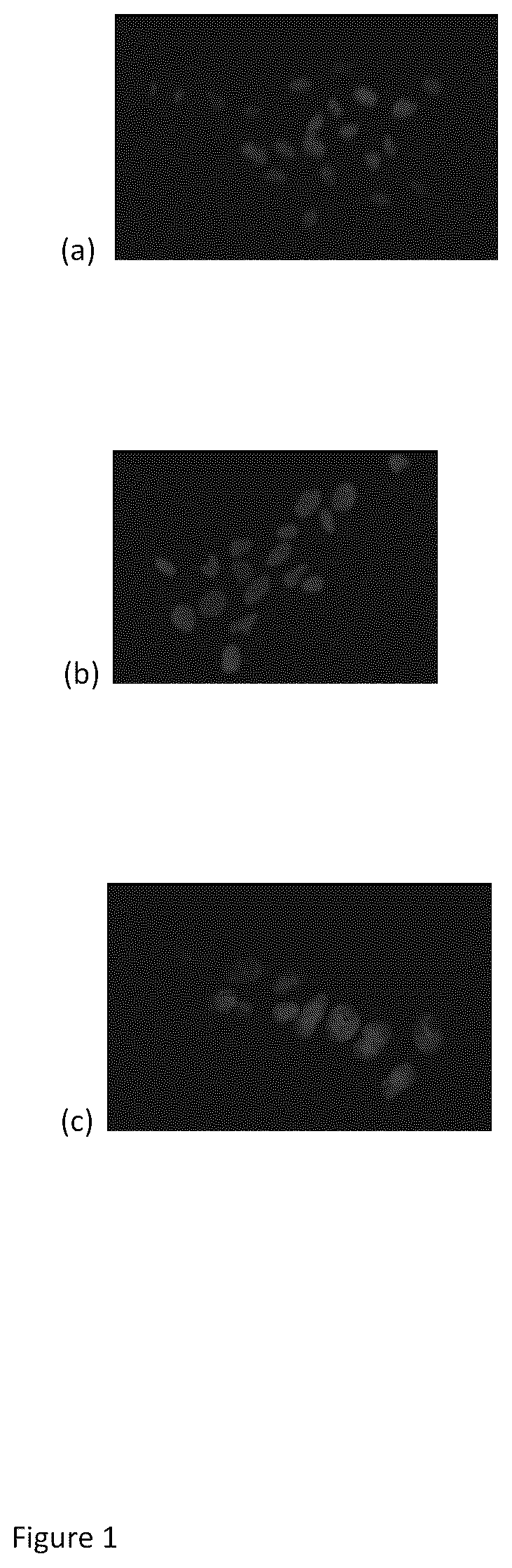 Patent US12360112 Figure 1 – Method for identification of viruses and diagnostic kit using the same